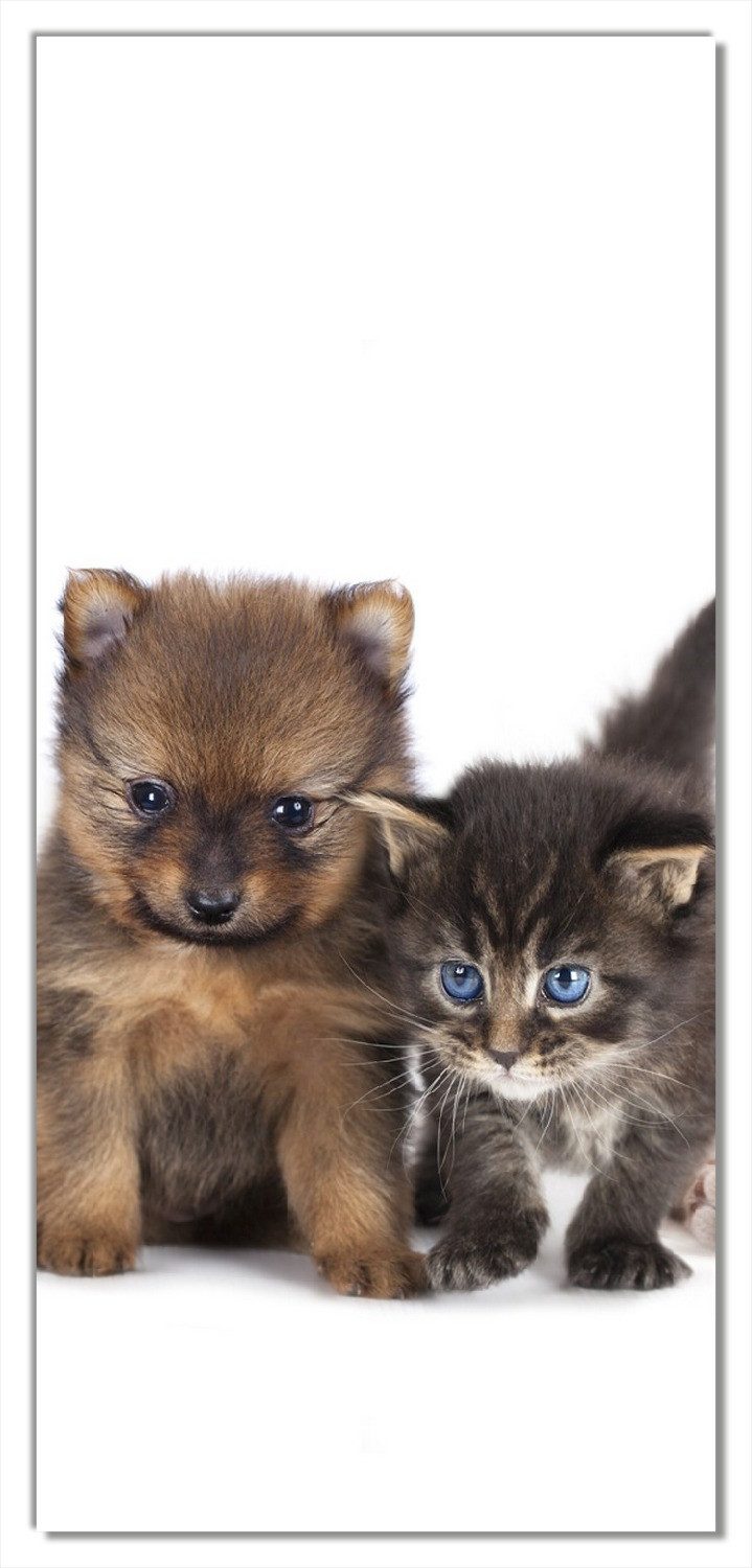 Wallario Türtapete Hundewelpen und Katzenjunge, glatt, ohne Struktur