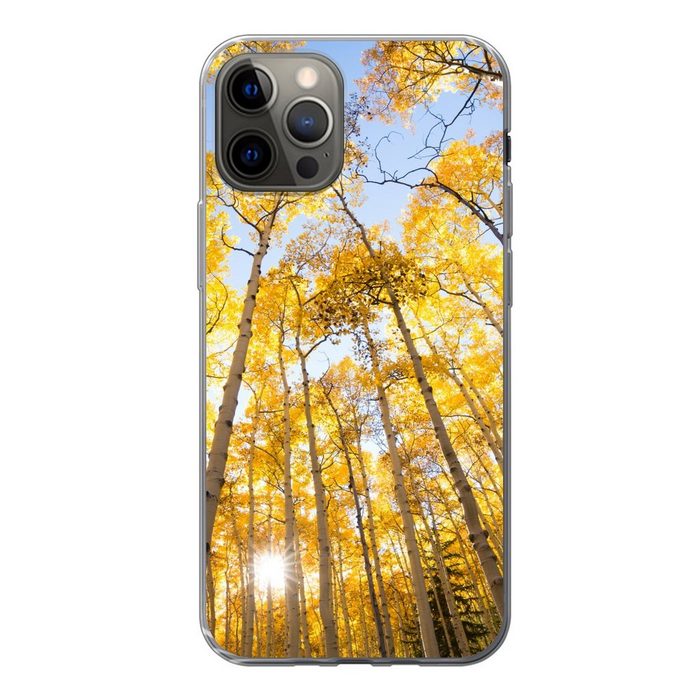 MuchoWow Handyhülle Herbst - Bäume - Wald Handyhülle Apple iPhone 12 Pro Smartphone-Bumper Print Handy