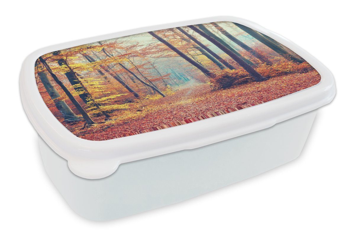 (2-tlg), Kinder und Brotdose, - Mädchen Lunchbox Kunststoff, für und Jungs weiß Brotbox Erwachsene, Laub, - MuchoWow Herbst Wald für