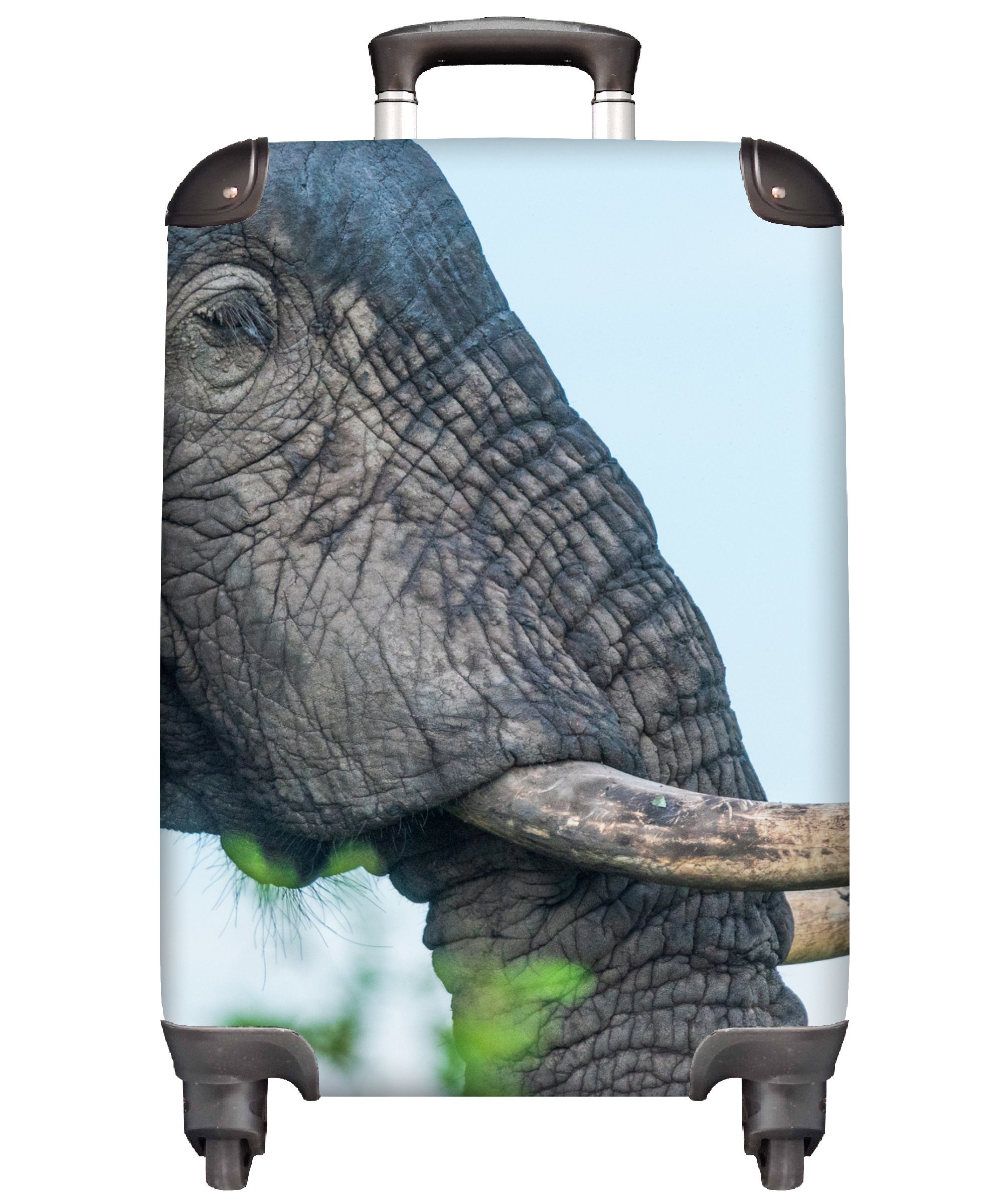 MuchoWow Handgepäckkoffer Elefant - Tiere - Grau - Natur, 4 Rollen, Reisetasche mit rollen, Handgepäck für Ferien, Trolley, Reisekoffer