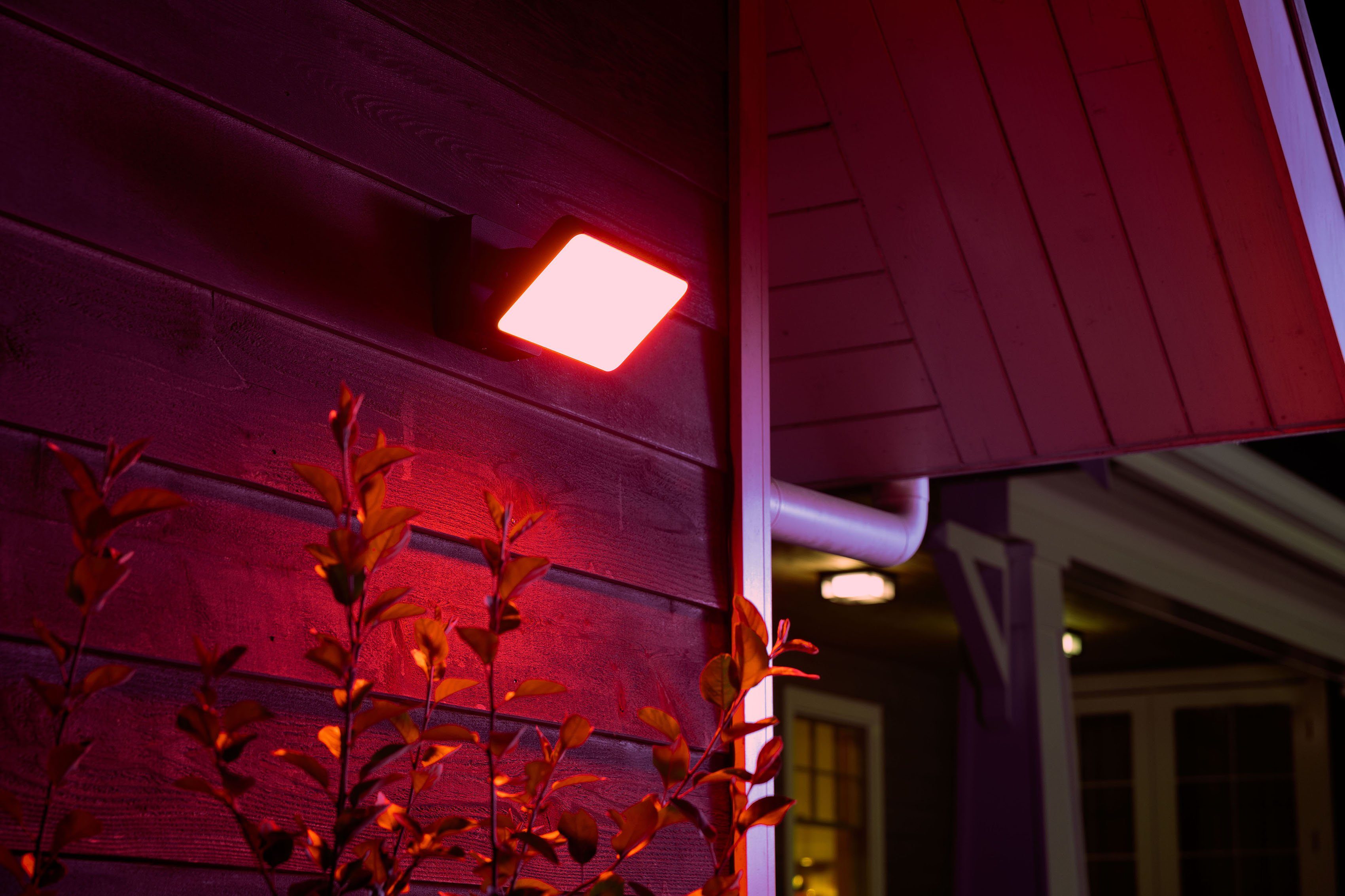 Philips Hue Kaltweiß, Extra-Warmweiß, Home, Smart LED integriert, Tageslichtweiß, fest Leuchtdauer Dimmfunktion, Helligkeitsstufen, Außen-Wandleuchte mehrere Neutralweiß, Warmweiß einstellbar, Discover, LED