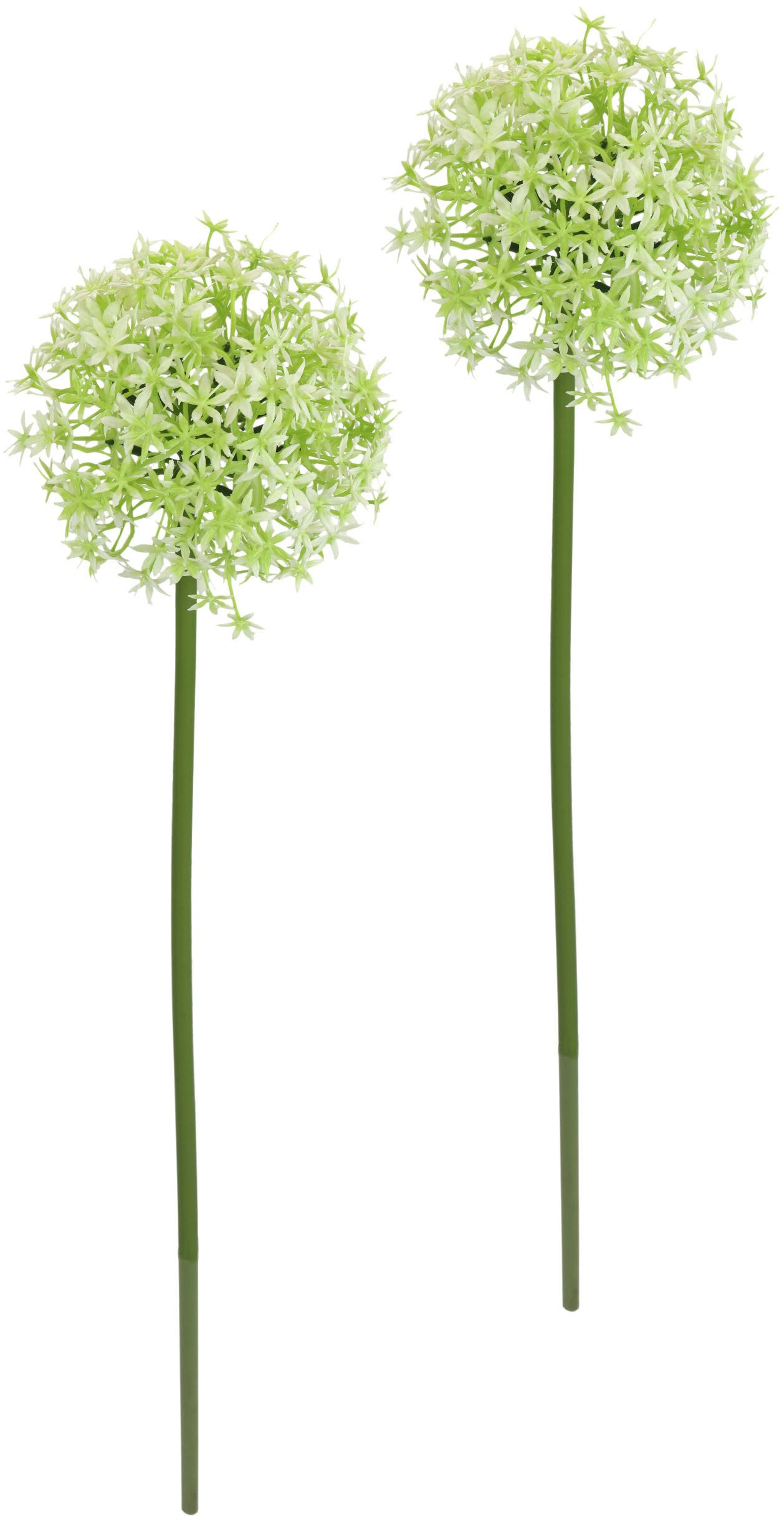 Kunstblume Allium Zierlauch, I.GE.A., Höhe 80 günstig online kaufen