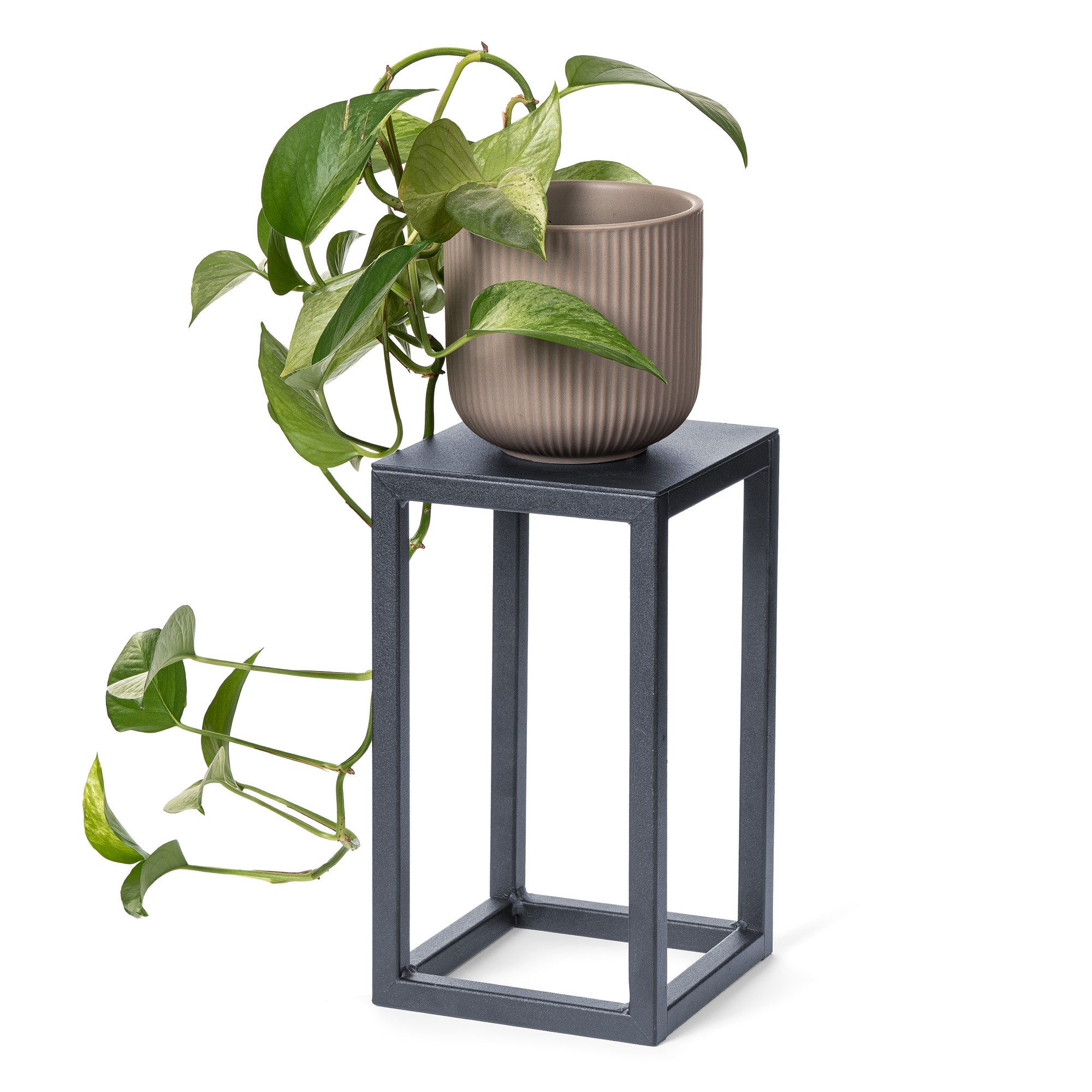 LAMO Manufaktur Blumenständer LAMO Manufaktur Blumenständer Anthrazit aus M günstig online kaufen