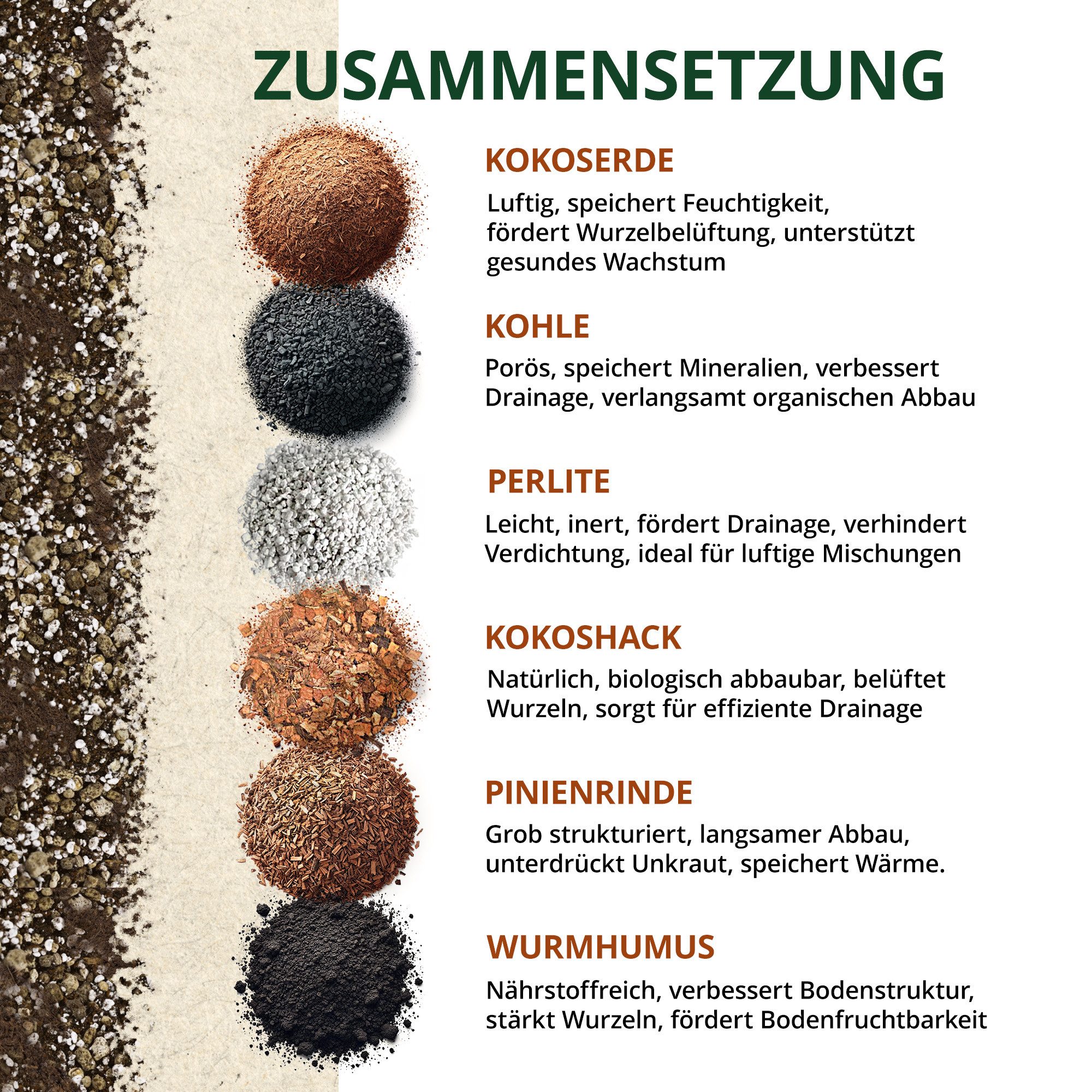 OraGarden Spezialerde Kakteen & Sukkulenten Erde, günstig online kaufen