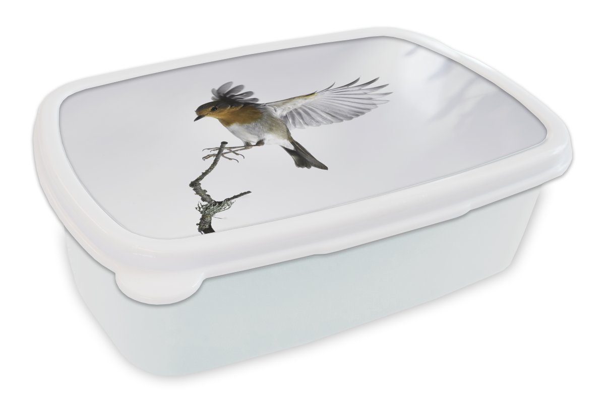 MuchoWow Lunchbox Nahaufnahme Vogel, Kunststoff, (2-tlg), Brotbox für Kinder und Erwachsene, Brotdose, für Jungs und Mädchen weiß