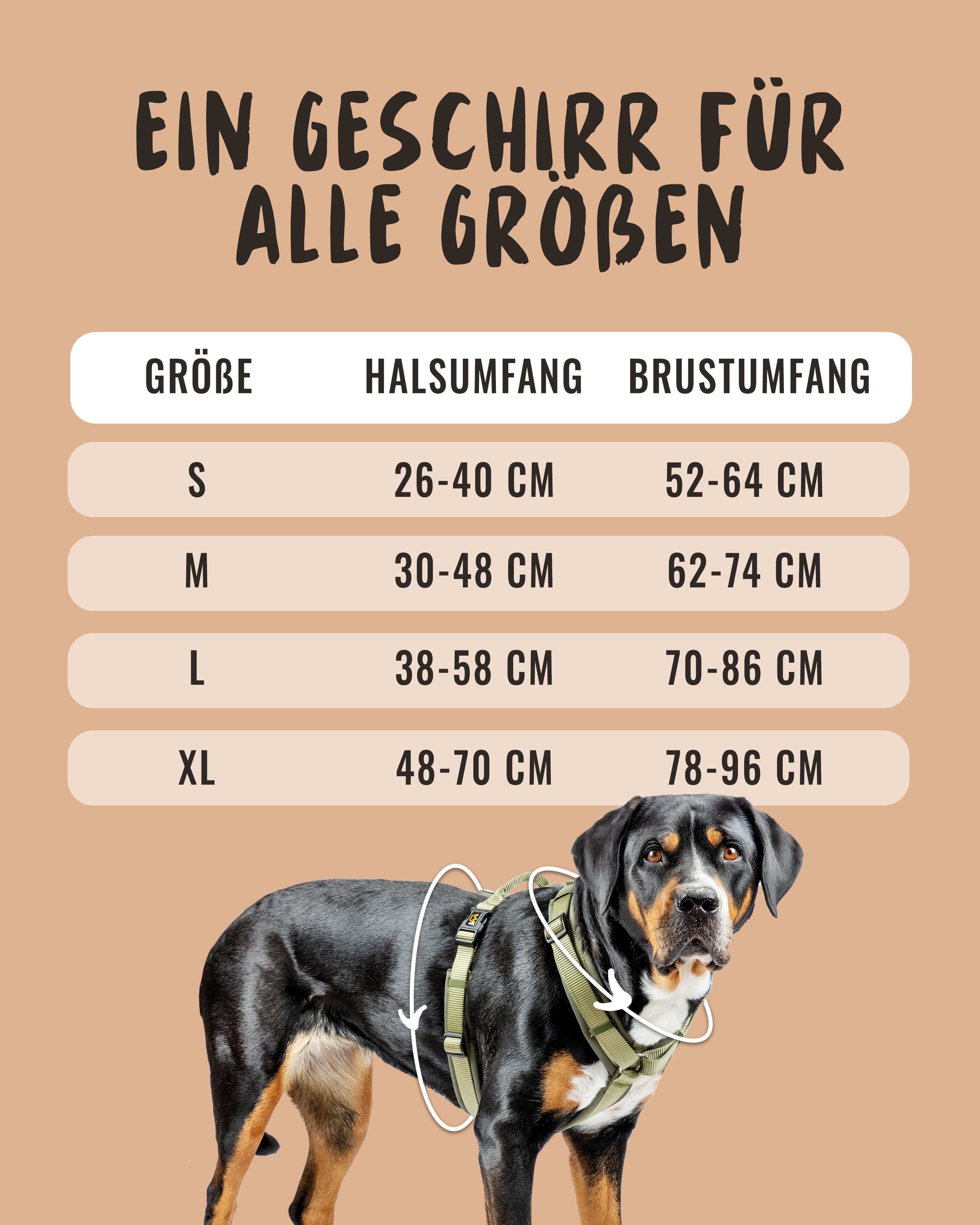 Rudelkönig Hunde-Geschirr Gepolstertes Brustgeschirr mit Haltegriff, günstig online kaufen