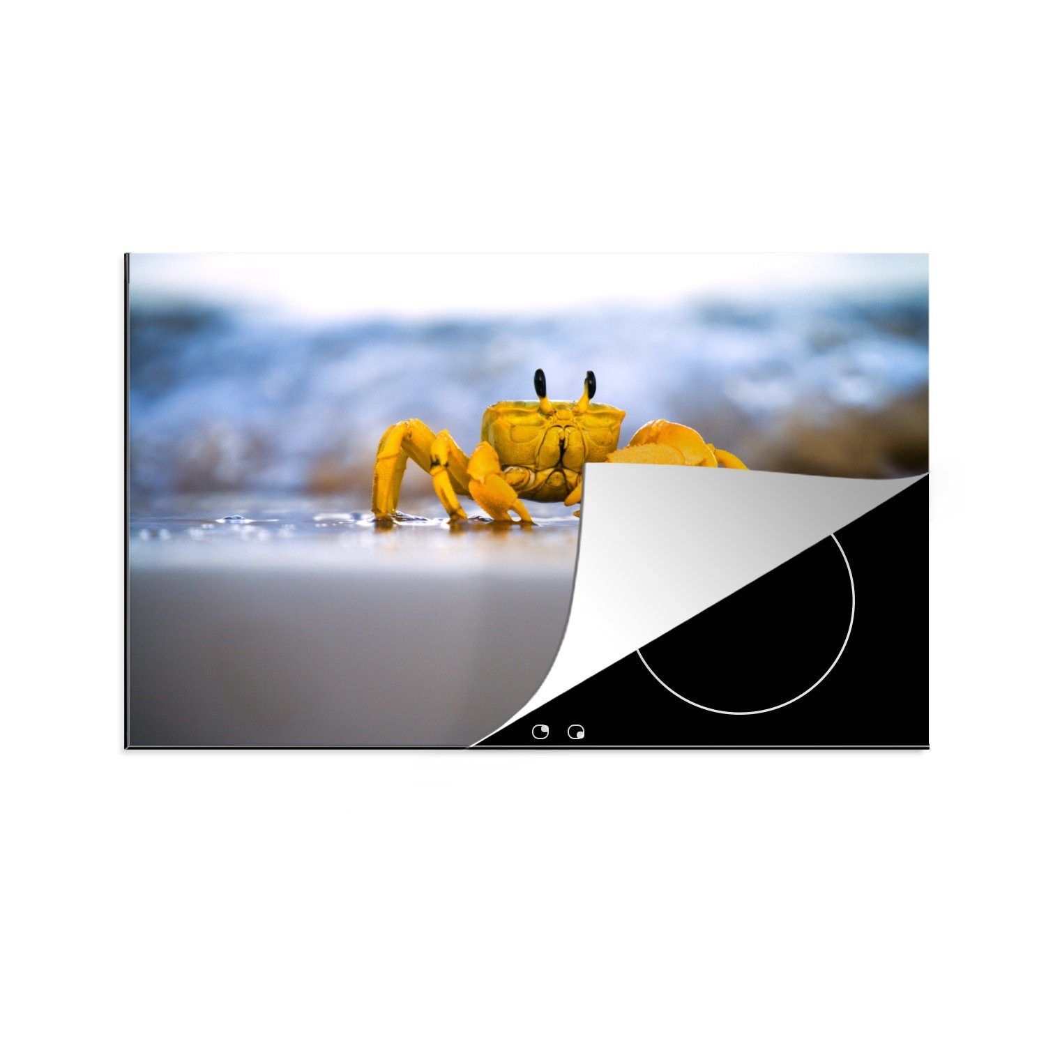 MuchoWow Herdblende-/Abdeckplatte Krabbe - Strand - Meer, Vinyl, (1 tlg), 81x52 cm, Induktionskochfeld Schutz für die küche, Ceranfeldabdeckung