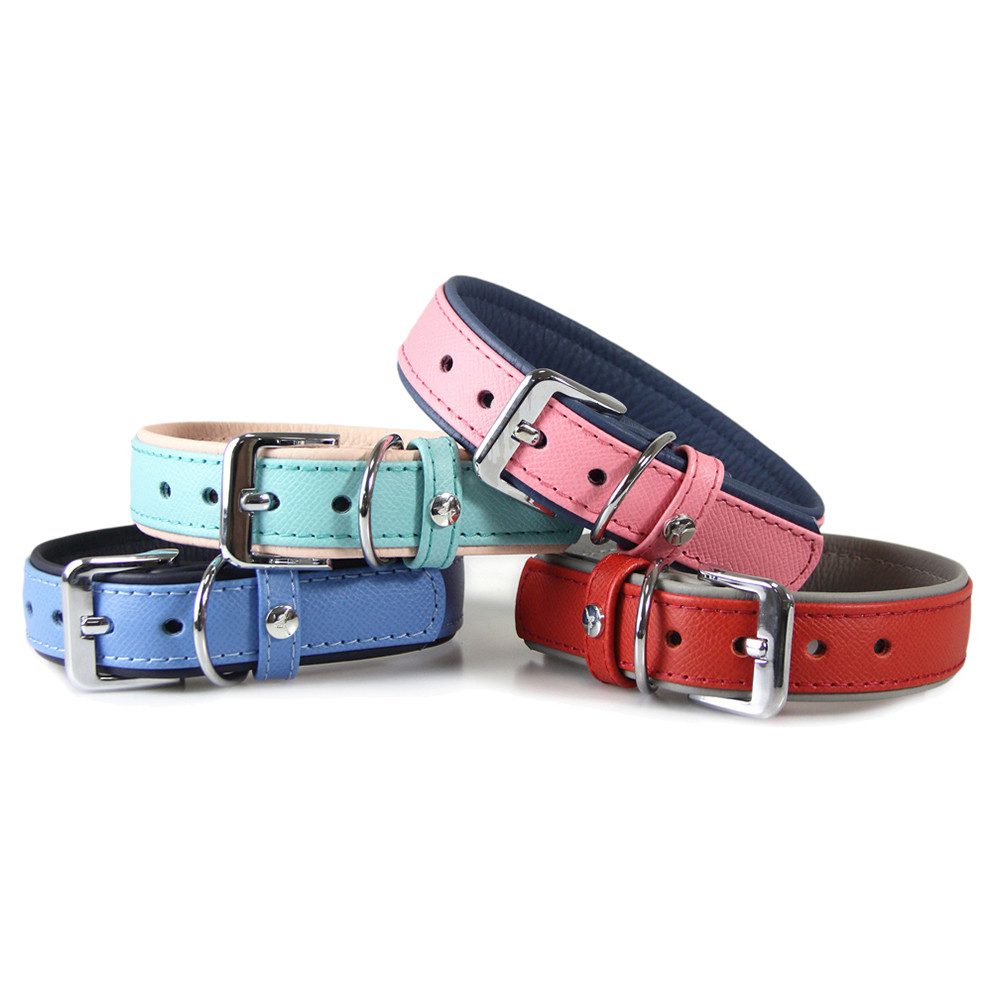 Das Lederband Hunde-Halsband Hundehalsband Firenze electric blue/creme