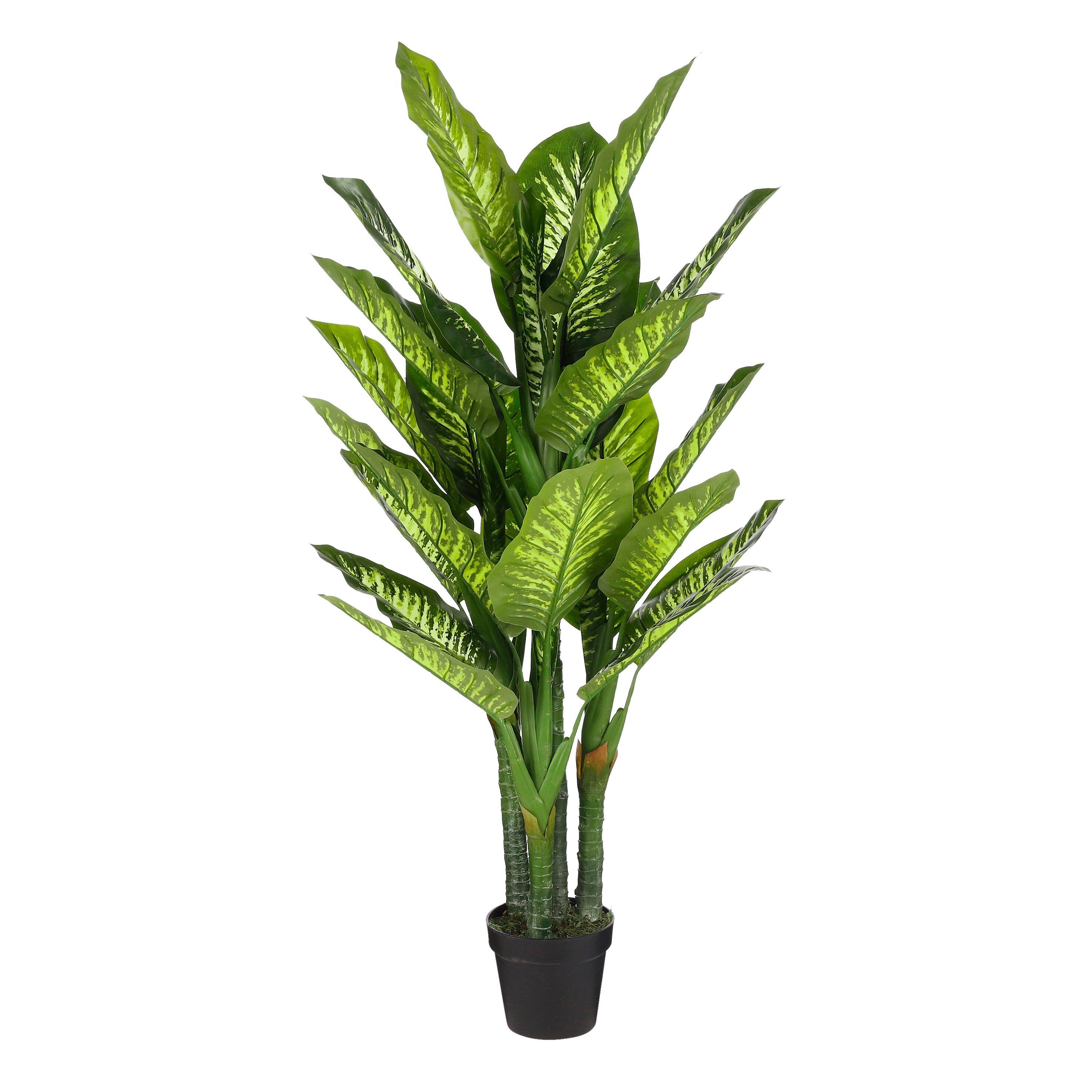 Kunstpflanze Mica Decorations Dieffenbachia in Topf gruen - h150xd70cm, Mica Decorations, Höhe 150 cm