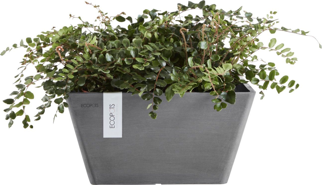 ECOPOTS Blumentopf BERLIN Grey, 25,5x25,5x12,8 cm BxTxH