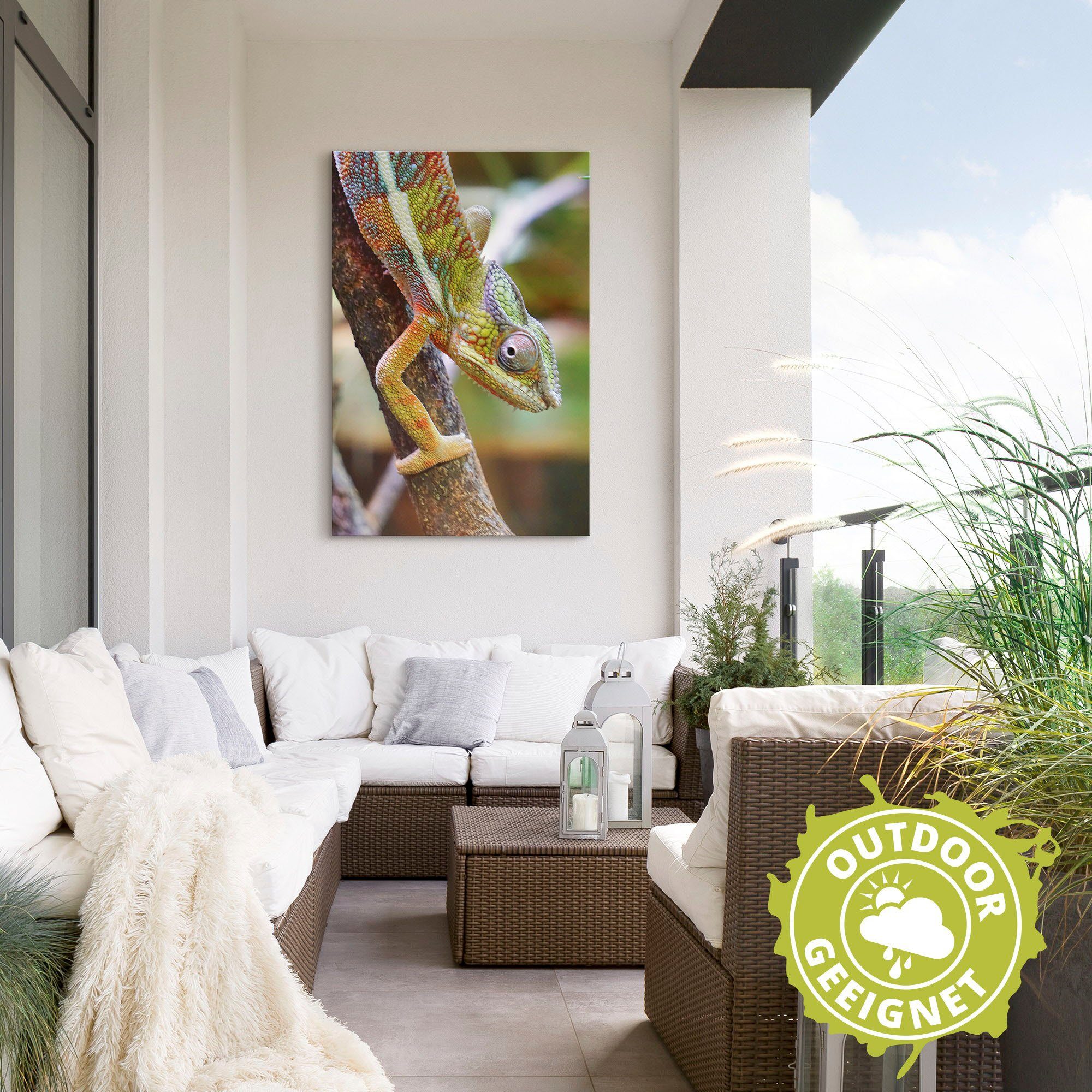 Artland Wandbild »Chamäleon«, Reptilien (1 Stück), in vielen Größen & Produktarten - Alubild / Outdoorbild für den Außenbereich, Leinwandbild, Poster, Wandaufkleber / Wandtattoo auch für Badezimmer geeignet-HomeTrends