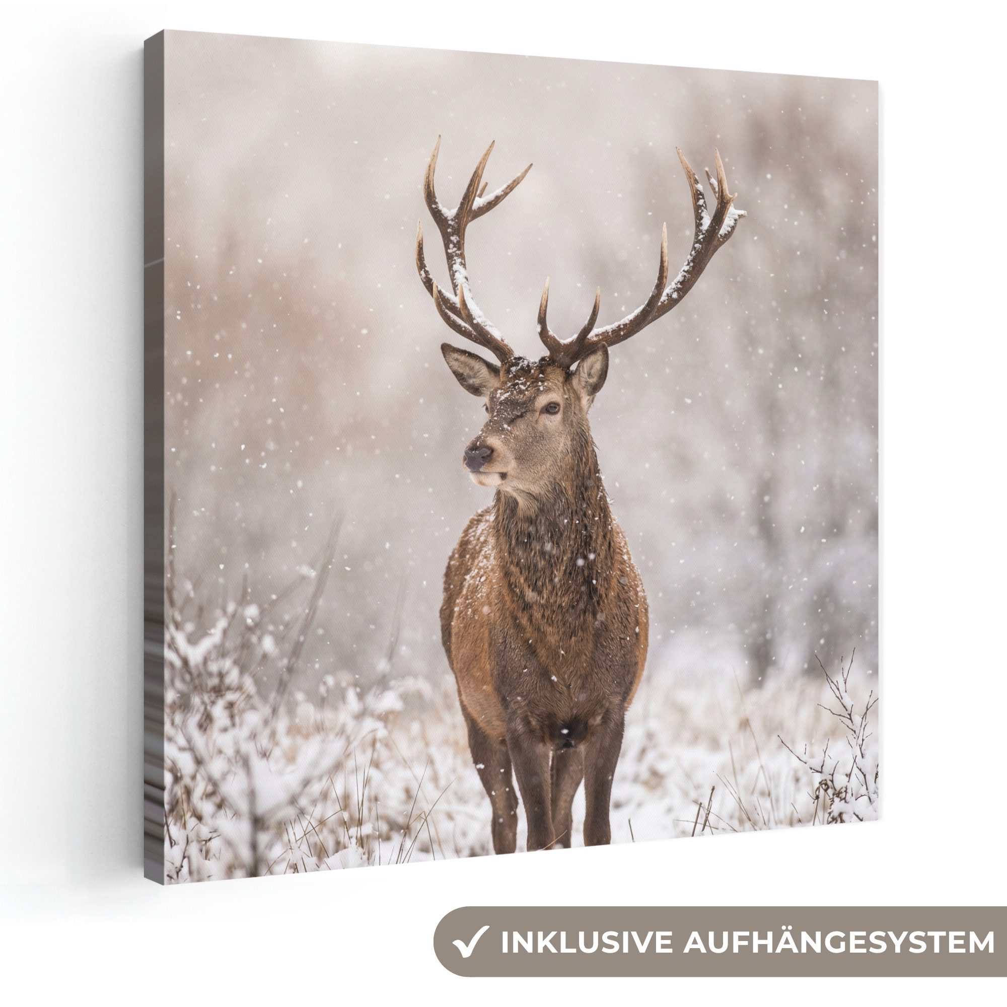 OneMillionCanvasses® Leinwandbild Rothirsch - Wald - Schnee - Winter - Majestätisch, Fotodruck (1 St), Wandbild, Deko Schlafzimmer Wohnzimmer Flur 20x20 cm