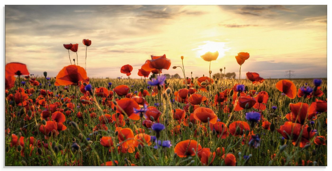 Artland Glasbild Mohnblumen, Blumen (1 St), in verschiedenen Größen