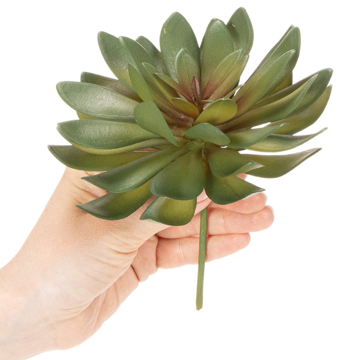 Kunstkaktus Künstliche Sukkulente für stilvolle Dekorationen in Innenräumen, 3 St, Florists Products, Höhe 18 cm