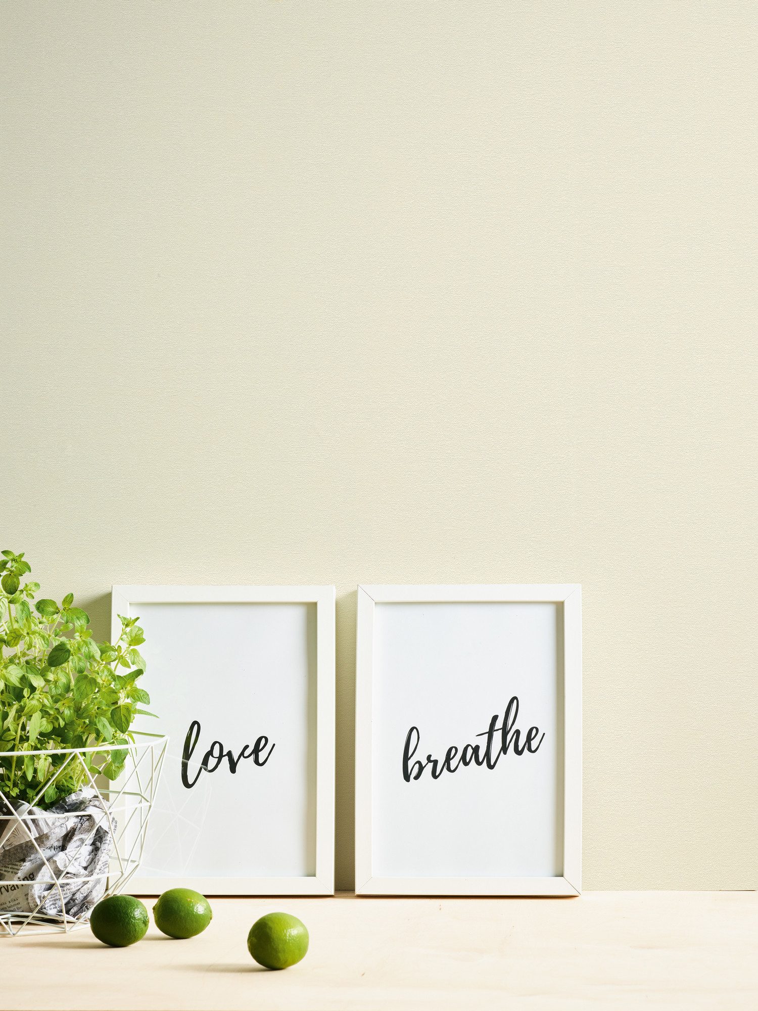 A.S. Création Vliestapete Casual Living einfarbige günstig online kaufen