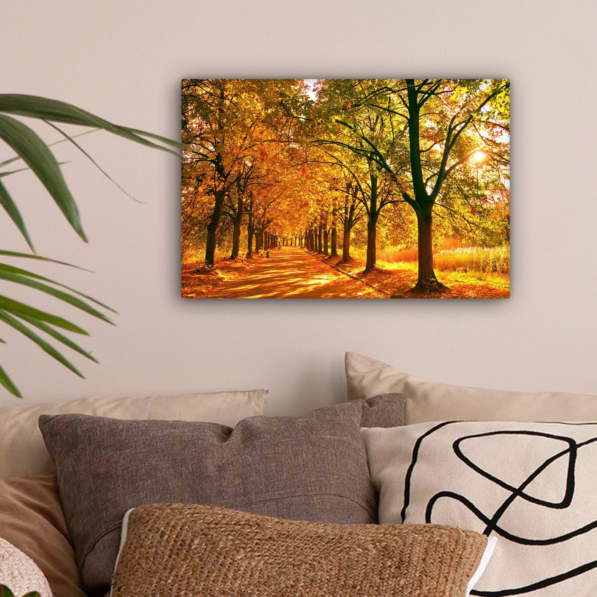 OneMillionCanvasses® Leinwandbild Wald - Herbst - Jahreszeiten - Ländlich, günstig online kaufen