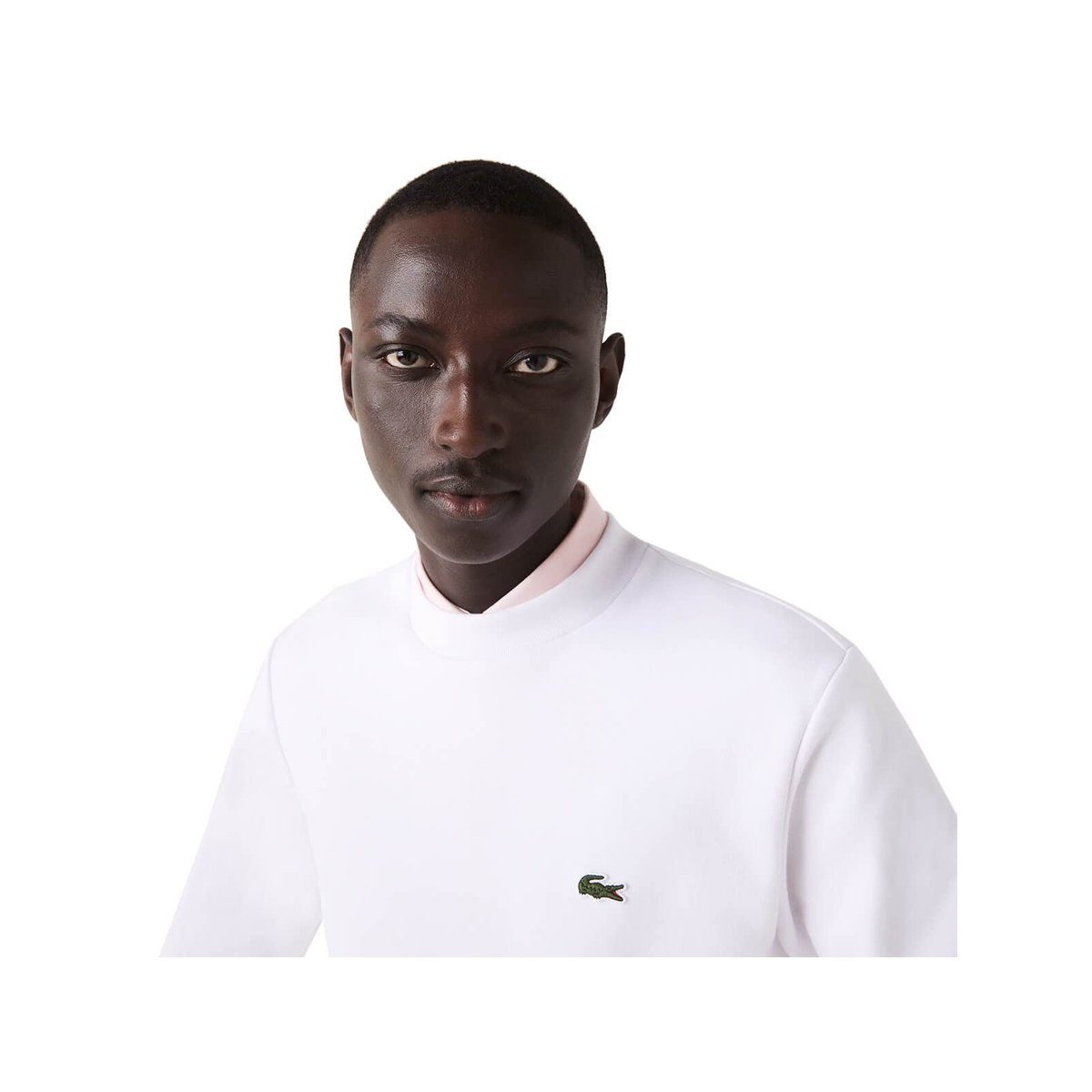 Lacoste Sweatshirt Sweatshirt für Herren in günstig online kaufen