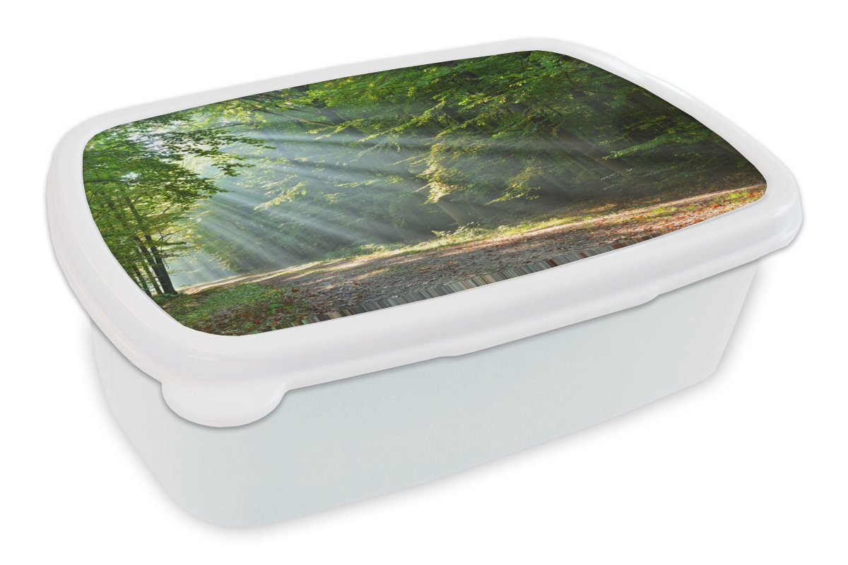 MuchoWow Lunchbox Frühling - Wald - Baum, Kunststoff, (2-tlg), Brotbox für Kinder und Erwachsene, Brotdose, für Jungs und Mädchen weiß