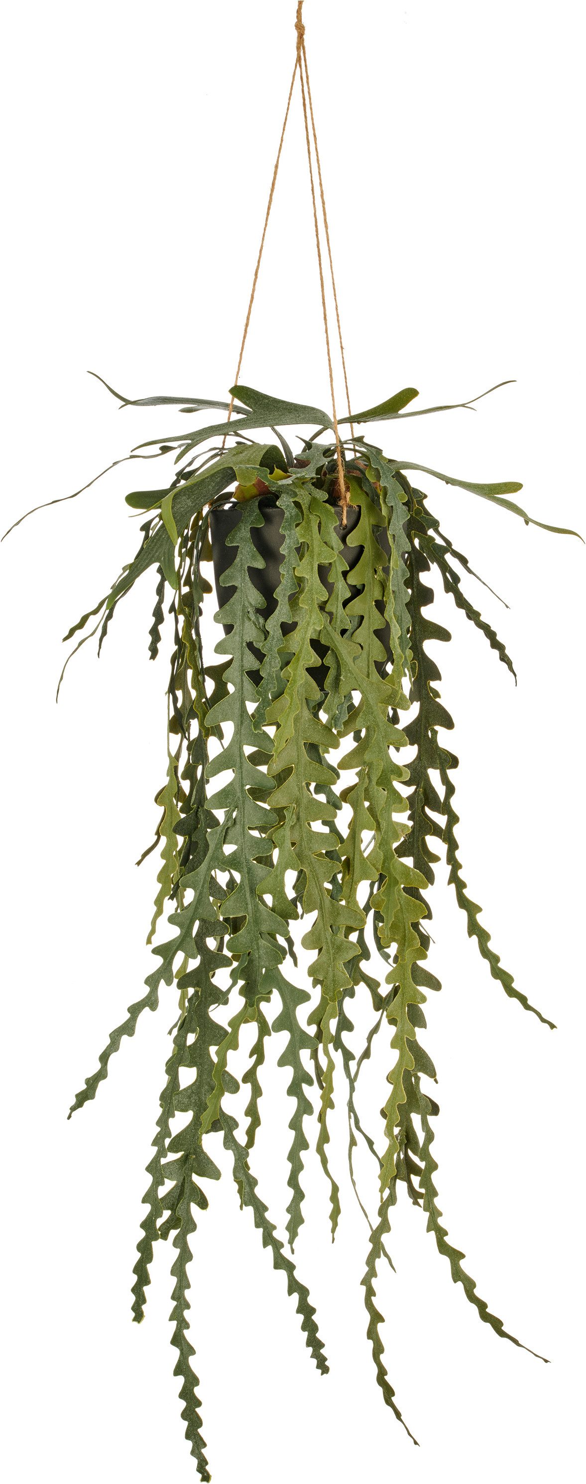 Kunstpflanze Epiphyllumhänger, Creativ green, Höhe 91 cm, im Hängetopf