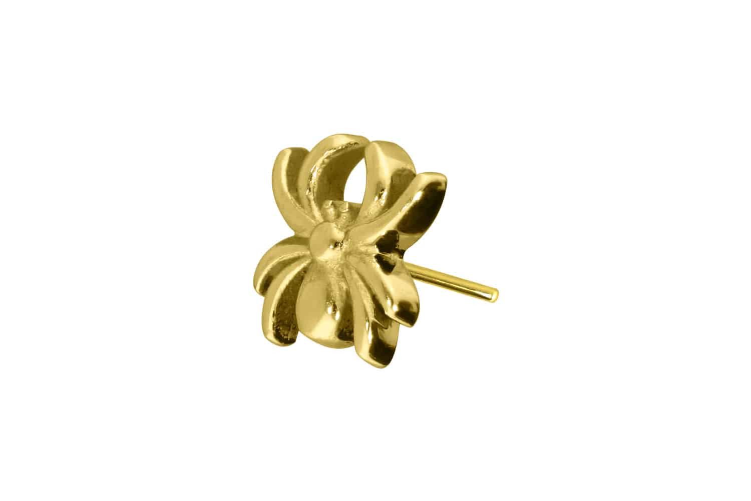 PIERCINGLINE Piercing-Set Titan Aufsatz mit Push Pin SPINNE (Push Pins, 1-tlg)