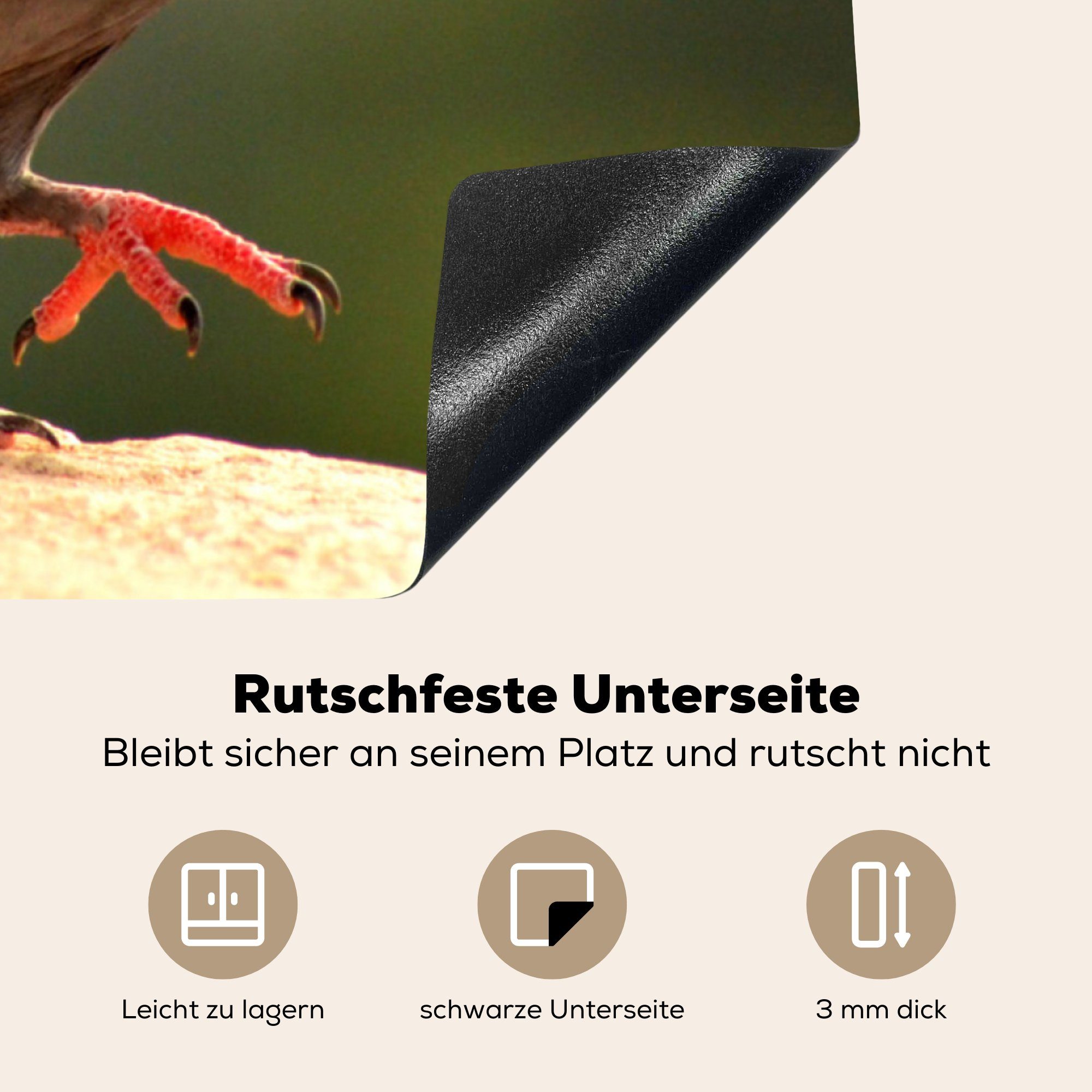 MuchoWow Herdblende-/Abdeckplatte Taube - küche tlg), (1 Ceranfeldabdeckung, für Vogel - Tiere, Arbeitsplatte 78x78 cm, Vinyl