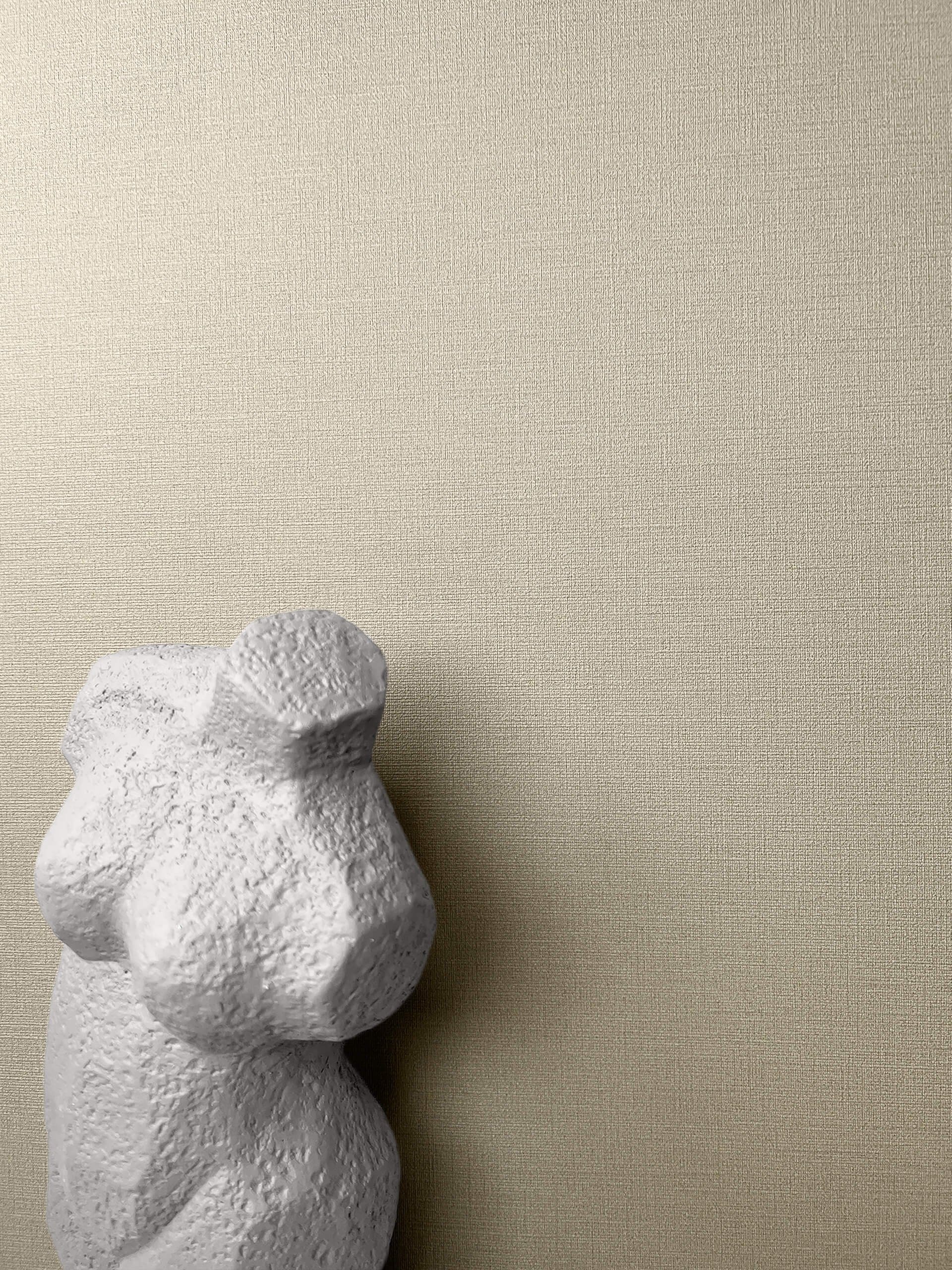 Newroom Vliestapete, Taupe Tapete Uni Unifarbe günstig online kaufen