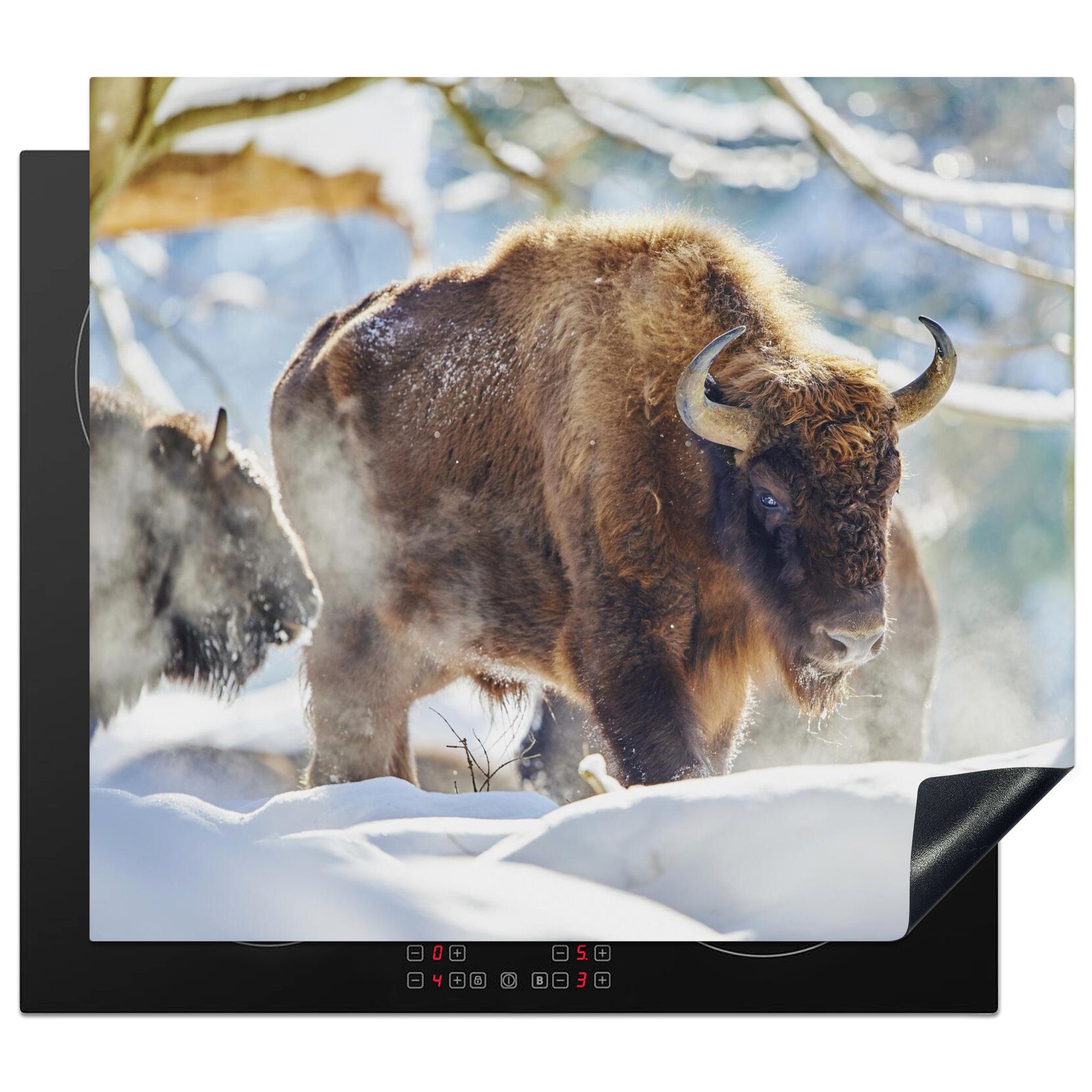 MuchoWow Herdblende-/Abdeckplatte Wisente laufen durch den Schnee im Nationalpark Bayerischer Wald, Vinyl, (1 tlg), 60x52 cm, Mobile Arbeitsfläche nutzbar, Ceranfeldabdeckung