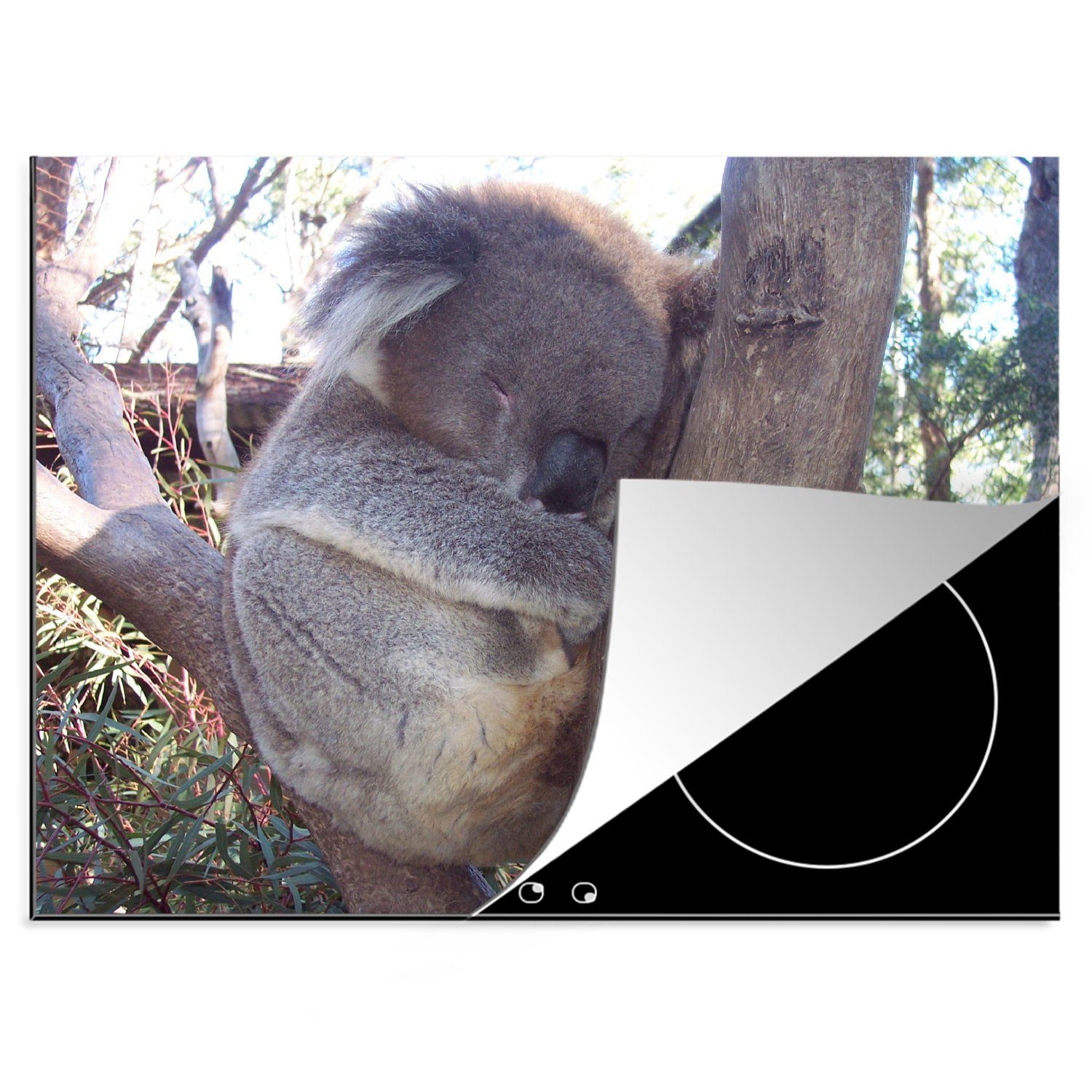 MuchoWow Herdblende-/Abdeckplatte Koala - Baum - Grau, Vinyl, (1 tlg), 70x52 cm, Mobile Arbeitsfläche nutzbar, Ceranfeldabdeckung
