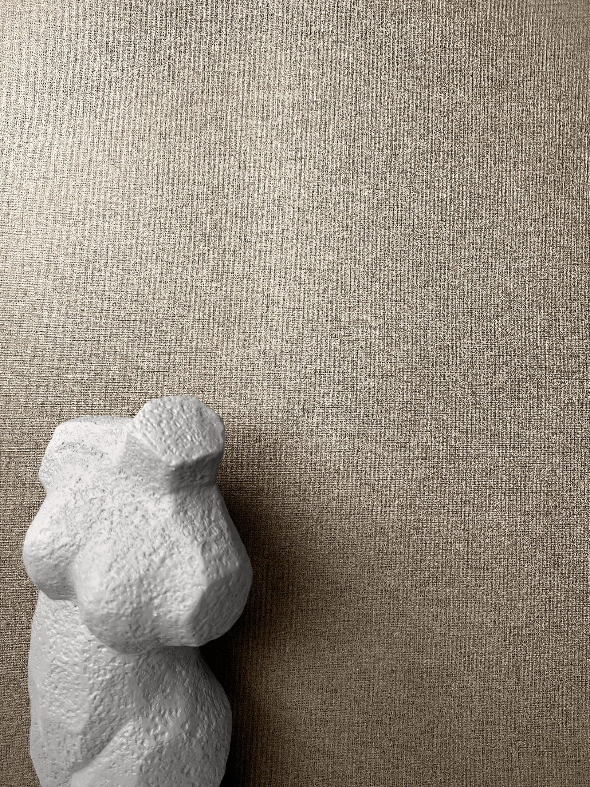 Newroom Vliestapete No. 08 Trüffel der Toskana Tapete Edle Farben Unifarbe,Struktur,Textil, Braun Tapete Uni Unifarbe - Unitapete Strukturtapete Taupe Abwaschbar Modern Struktur Textil für Büro Diele/Flur Schlafen, Unitapete