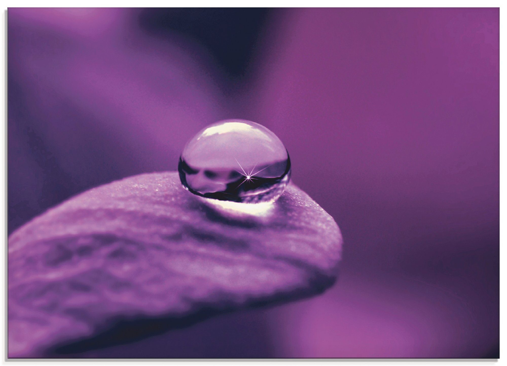 Artland Glasbild Amethyst, Blumen (1 St), in verschiedenen Größen