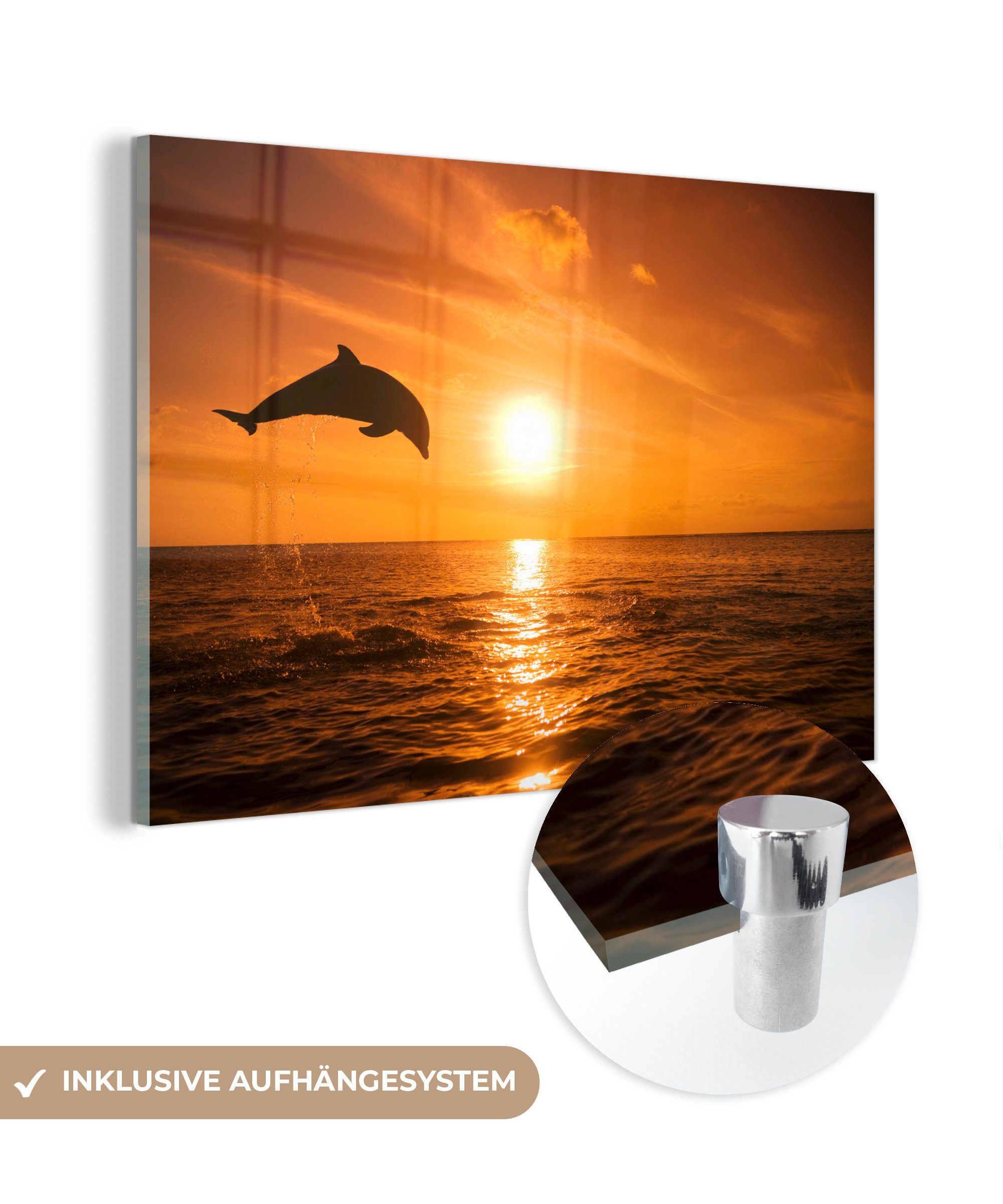 [Inländisches reguläres Produkt] MuchoWow Acrylglasbild Delfin Sonne Wohnzimmer & Acrylglasbilder - - St), Schlafzimmer Meer, (1