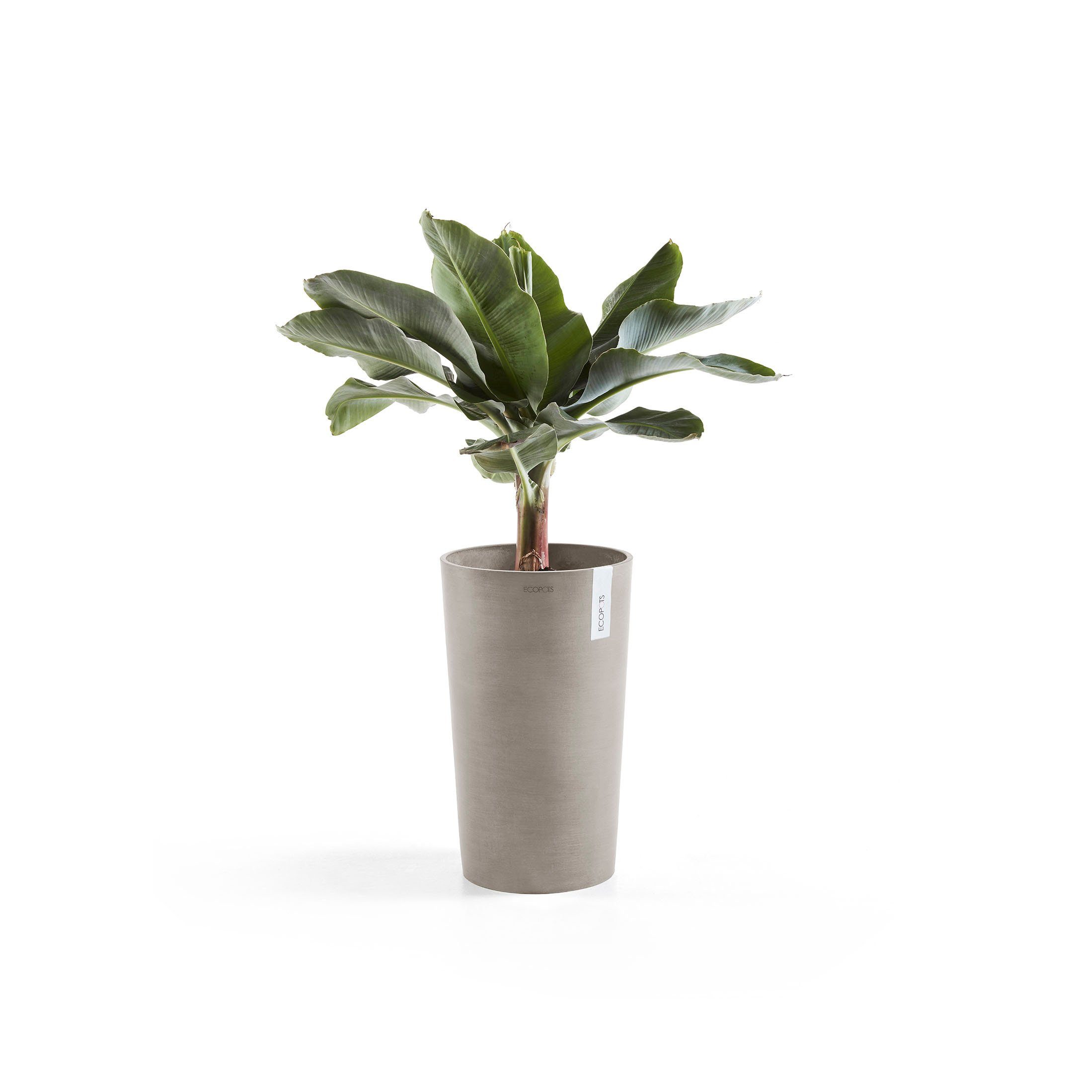 ECOPOTS Blumentopf Amsterdam, ØxH: 30x50 cm, CO²-neutrales Produkt