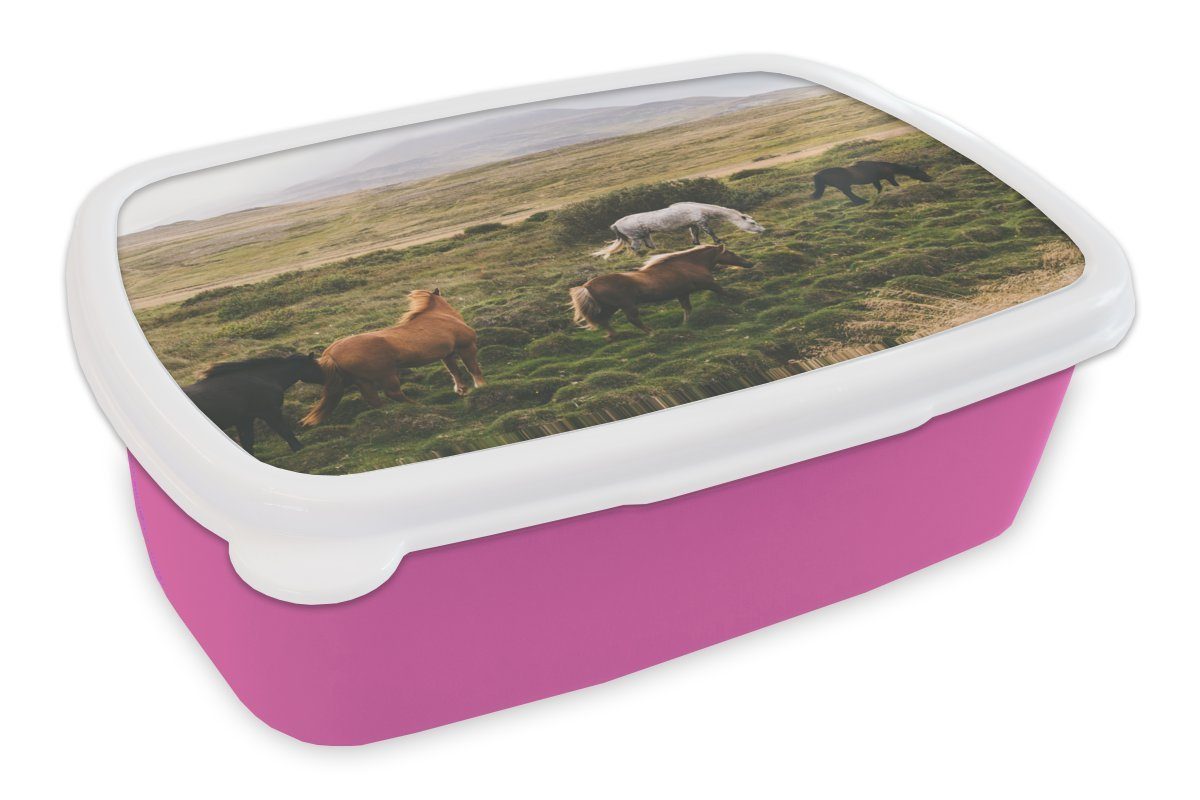 Kunststoff, (2-tlg), für Kunststoff Pferde MuchoWow Brotbox Mädchen, - Brotdose Lunchbox Erwachsene, rosa Kinder, Braun, Snackbox, Island -