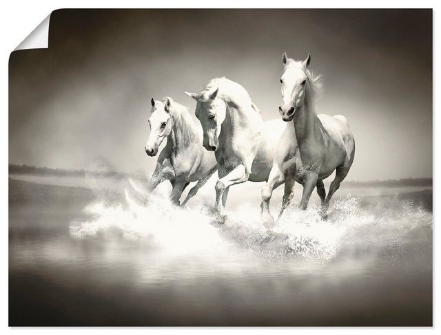 Artland Wandbild »Herde von weißen Pferden«, Haustiere (1 Stück), in vielen Größen & Produktarten - Alubild / Outdoorbild für den Außenbereich, Leinwandbild, Poster, Wandaufkleber / Wandtattoo auch für Badezimmer geeignet-Otto