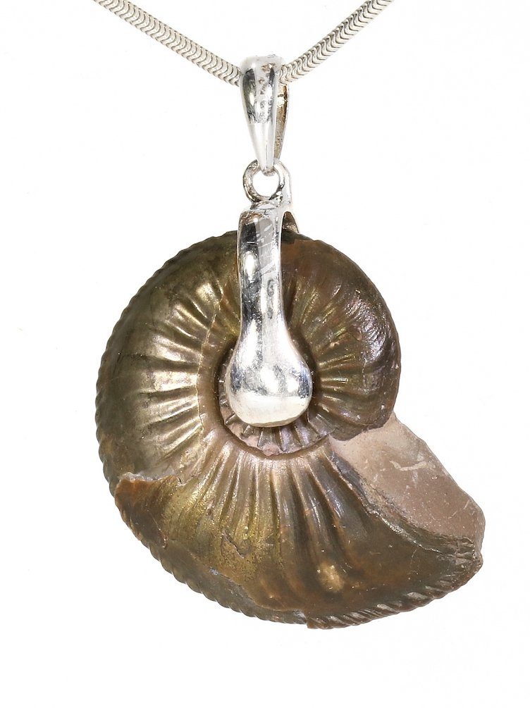Damen Schmuck Adelia´s Kettenanhänger Ammonit 925 Silber Edelstein Anhänger, Steinschmuck ist Naturschmuck