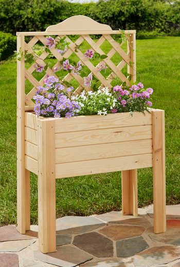 Promadino Pflanzkasten, mit Rankgitter, B/T/H: 60/30/100 cm online
