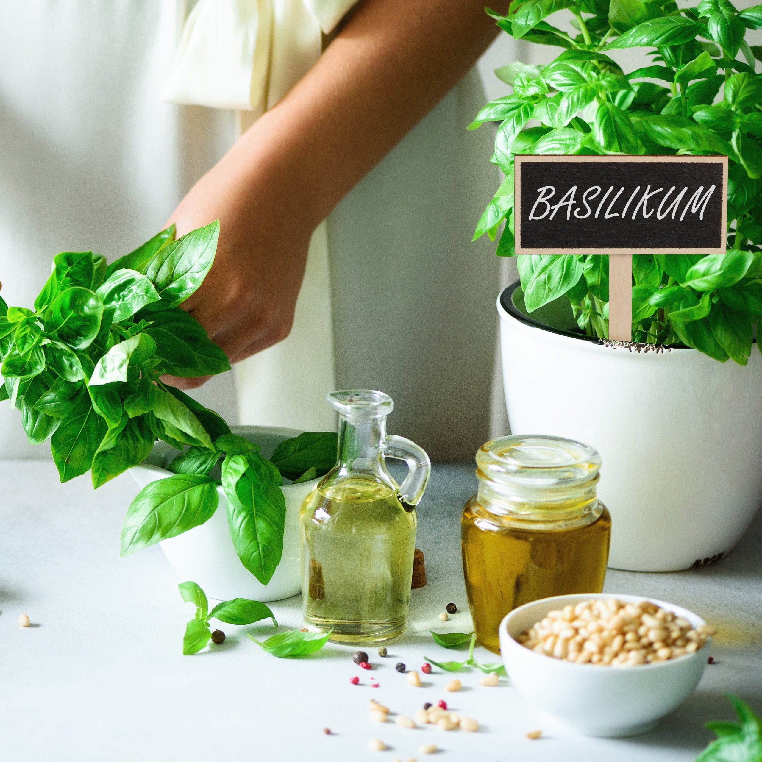 relaxdays Gartenstecker Pflanzenstecker Tafel im 24er Set günstig online kaufen