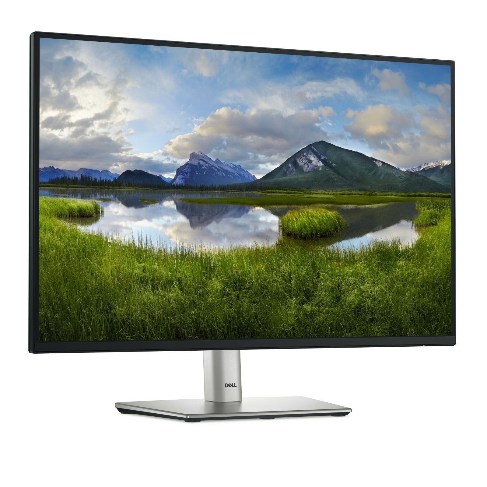 Dell P2425 61,1cm (24) WUXGA IPS Office 16:10 HDMI/DP/USB-C Pivot TFT-Monitor (1920 x 1200 px, WUXGA, 8 ms Reaktionszeit, 100 Hz, IPS, HDCP, Pivot, Höhenverstellbar)