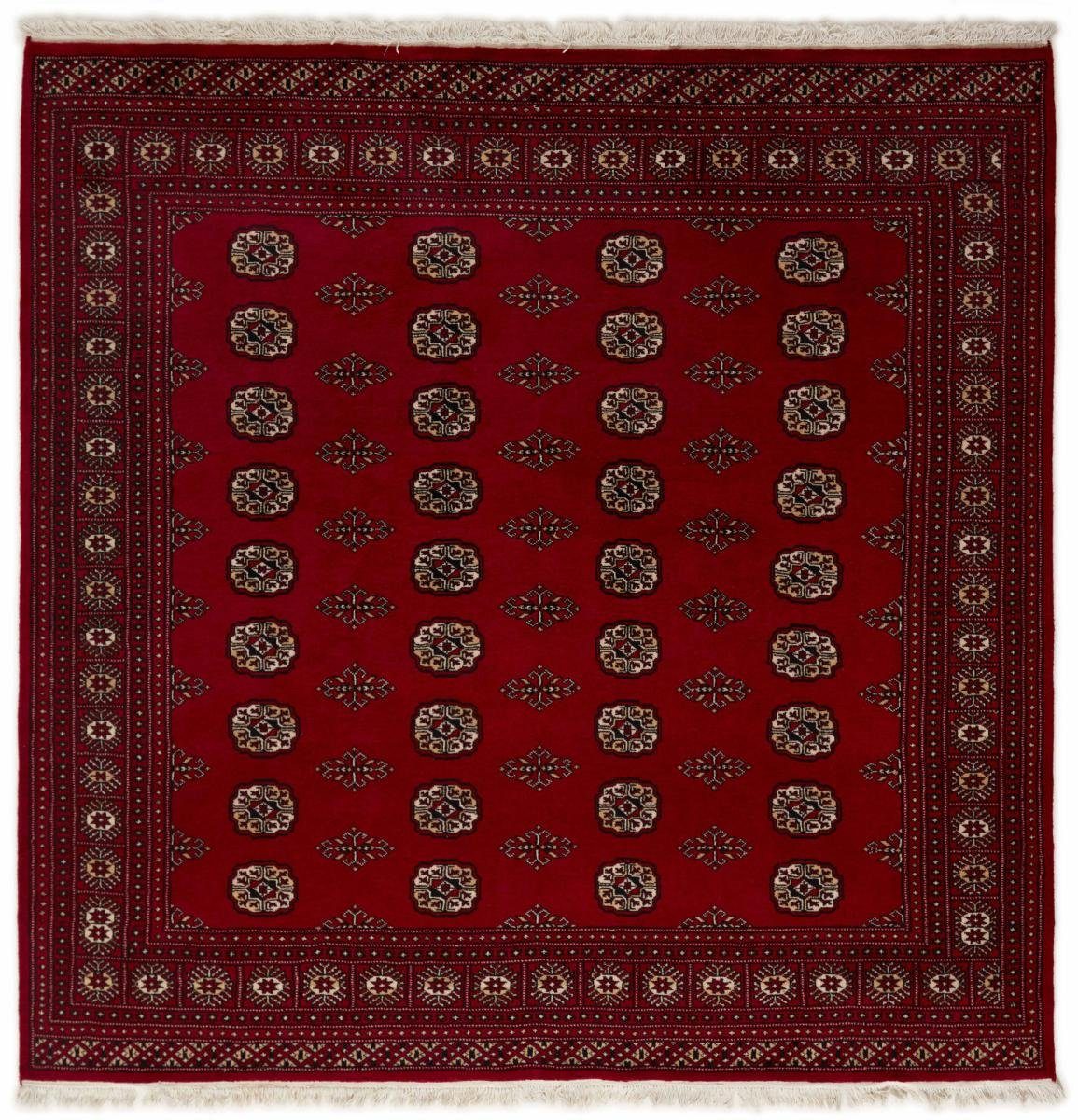 rechteckig, Orientteppich Orientteppich, 201x198 8 Buchara Trading, Pakistan mm 2ply Handgeknüpfter Nain Höhe: