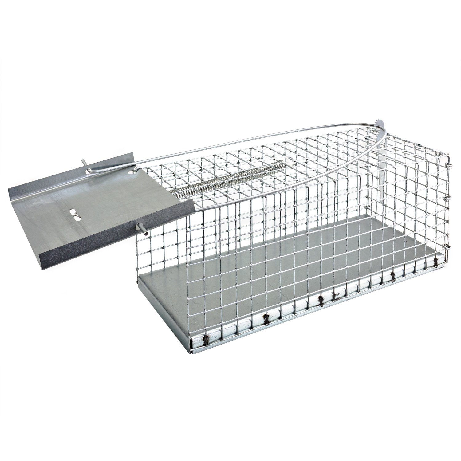 Petigi Lebendfalle Lebendfalle Kleintierfalle Nagetiere Stabil Robust Maus Ratte Marder