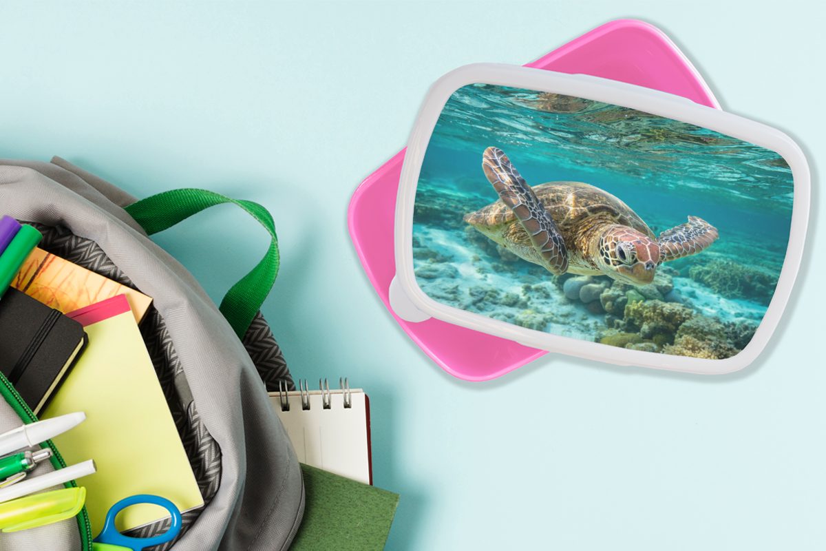 schwimmt Snackbox, Kinder, Schildkröte Kunststoff, Wasser (2-tlg), für Bodennähe, unter Lunchbox in rosa Eine Kunststoff Erwachsene, Mädchen, Brotdose MuchoWow Brotbox