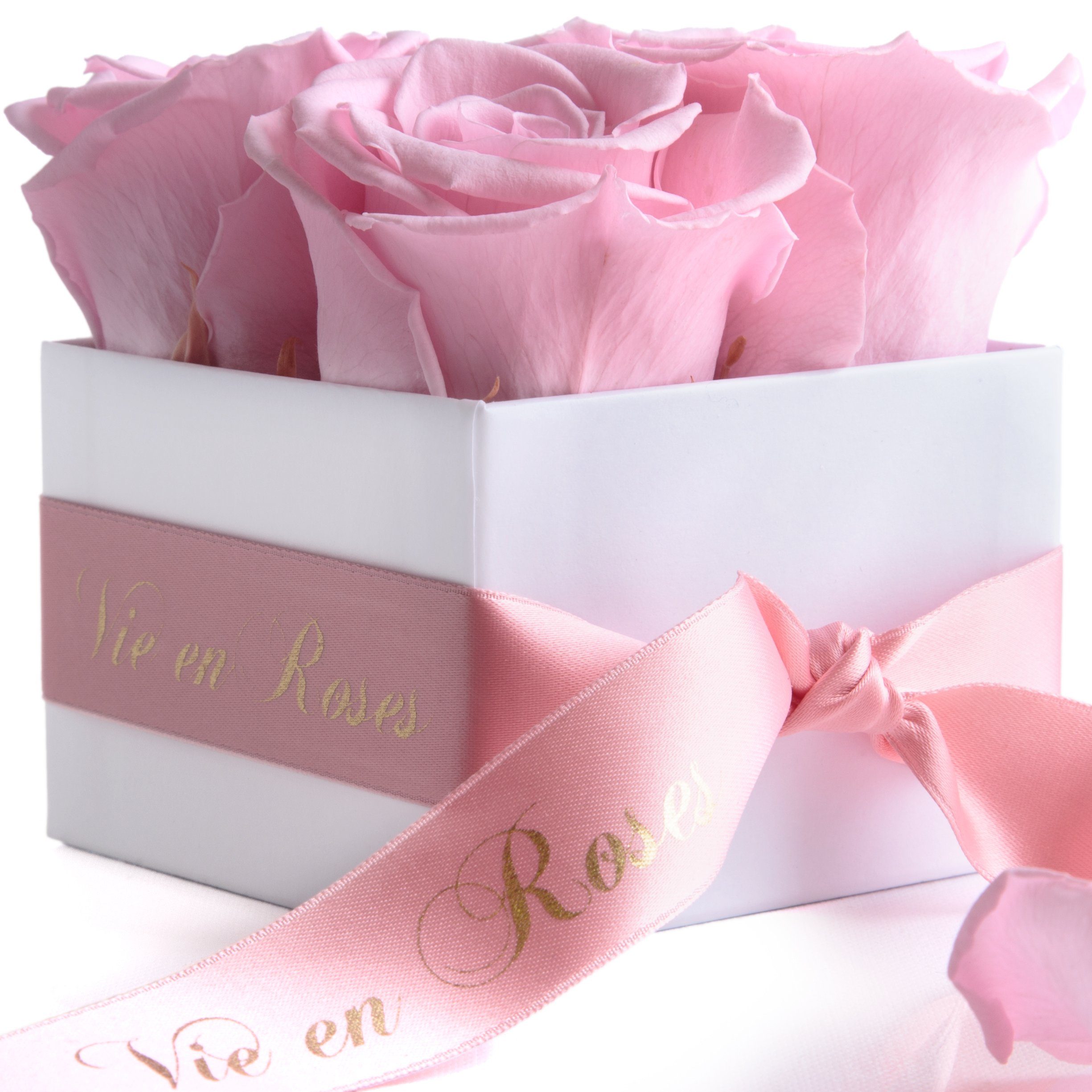 Infinity für Kunstblume Rose, Poesie SCHULZ Heidelberg, Valentinstag ROSEMARIE Rosenbox Höhe für weiß rosa Frauen Deko zum Geschenk Damen Rosen 8.5 cm,