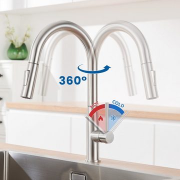 AuraLum pro Küchenarmatur 360° Ausziehbar Spültischarmatur Edelstahl Mischbatterie Wasserhahn mit 2 Strahlarten
