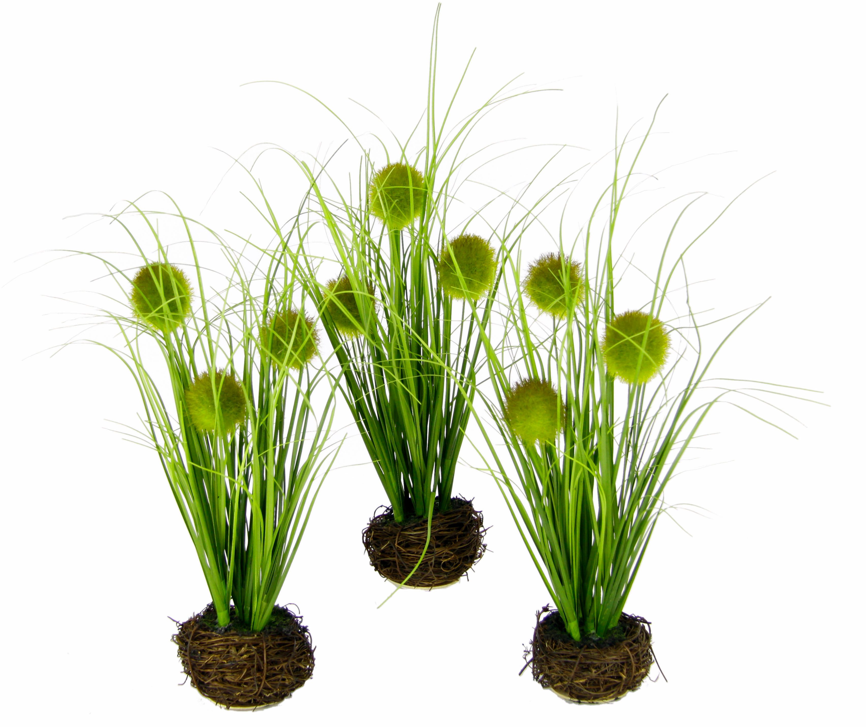 Kunstgras Künstliches Gras 'Knopfgras', I.GE.A., Höhe günstig online kaufen