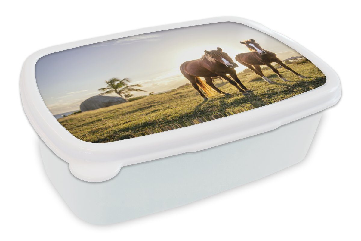 MuchoWow Lunchbox Pferde Brotdose, für Brotbox - (2-tlg), weiß Kinder Mädchen Kunststoff, Sonne Gras, Erwachsene, Jungs und - für und