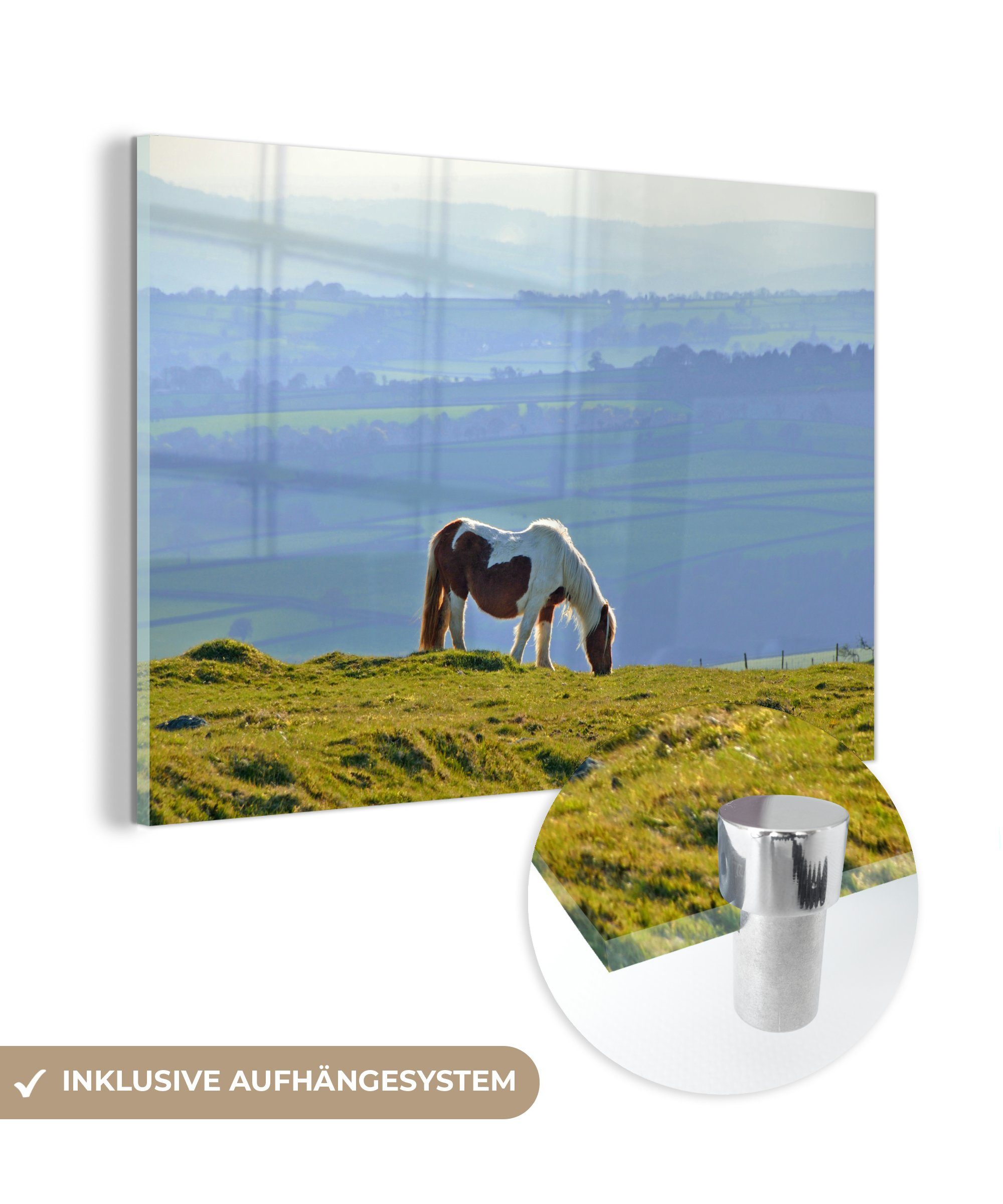 MuchoWow Acrylglasbild Pferde - Dartmoor - Berge - Gras, (1 St), Acrylglasbilder Wohnzimmer & Schlafzimmer