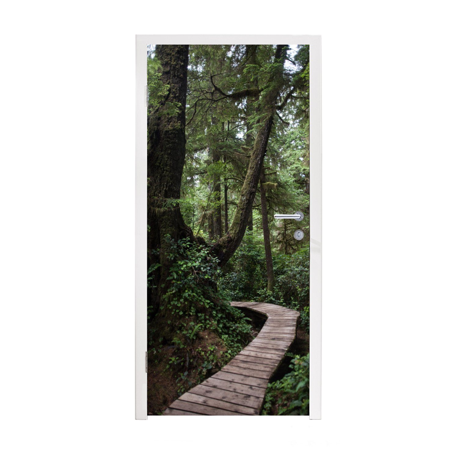 St), für cm in Tür, moosbewachsenen bedruckt, (1 Holzbrücke 75x205 den MuchoWow Costa Ricas, Wäldern Türtapete Türaufkleber, Matt, Fototapete