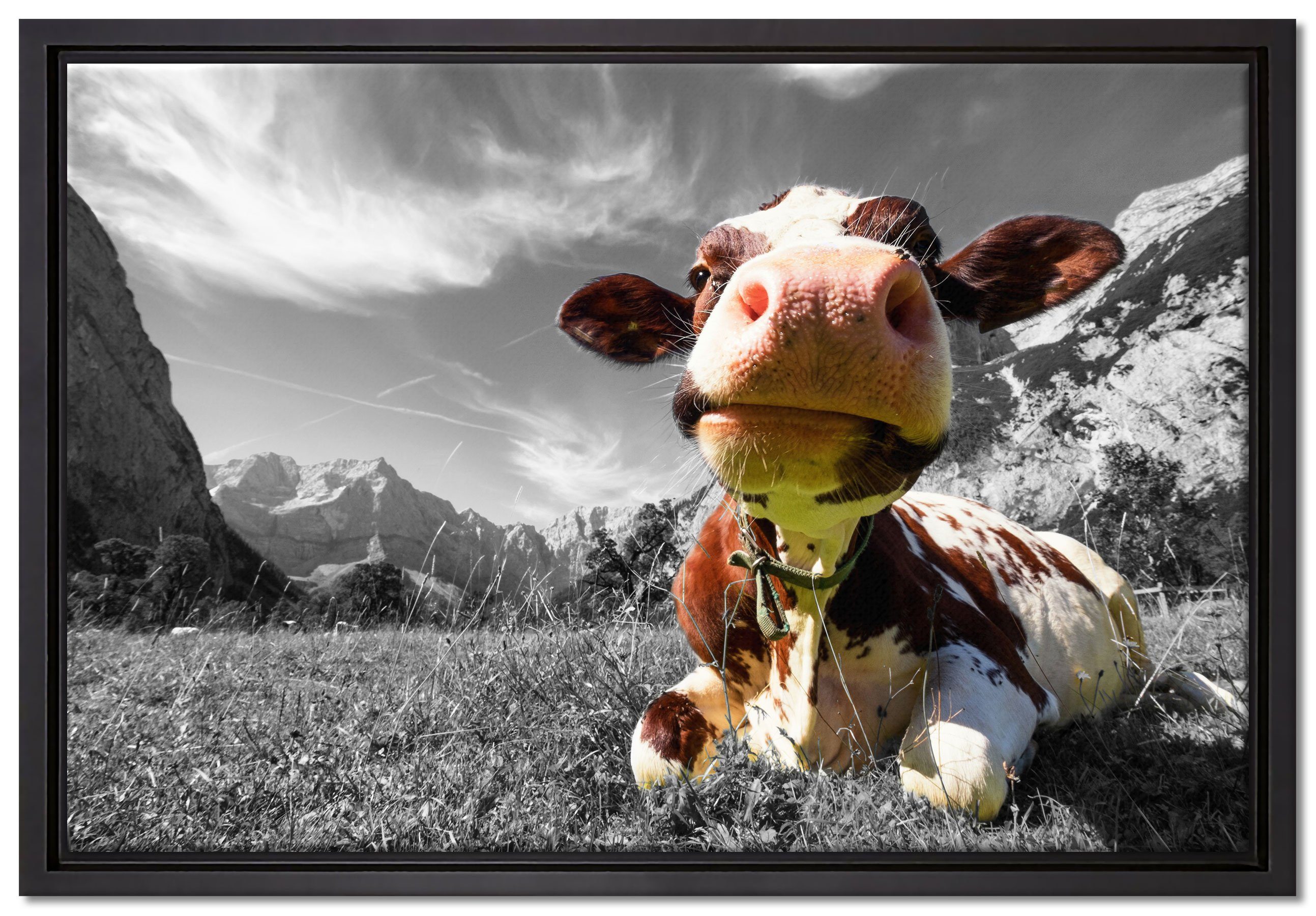 Pixxprint Leinwandbild Kuh im Karwendelgebirge, Wanddekoration (1 St), Leinwandbild fertig bespannt, in einem Schattenfugen-Bilderrahmen gefasst, inkl. Zackenaufhänger