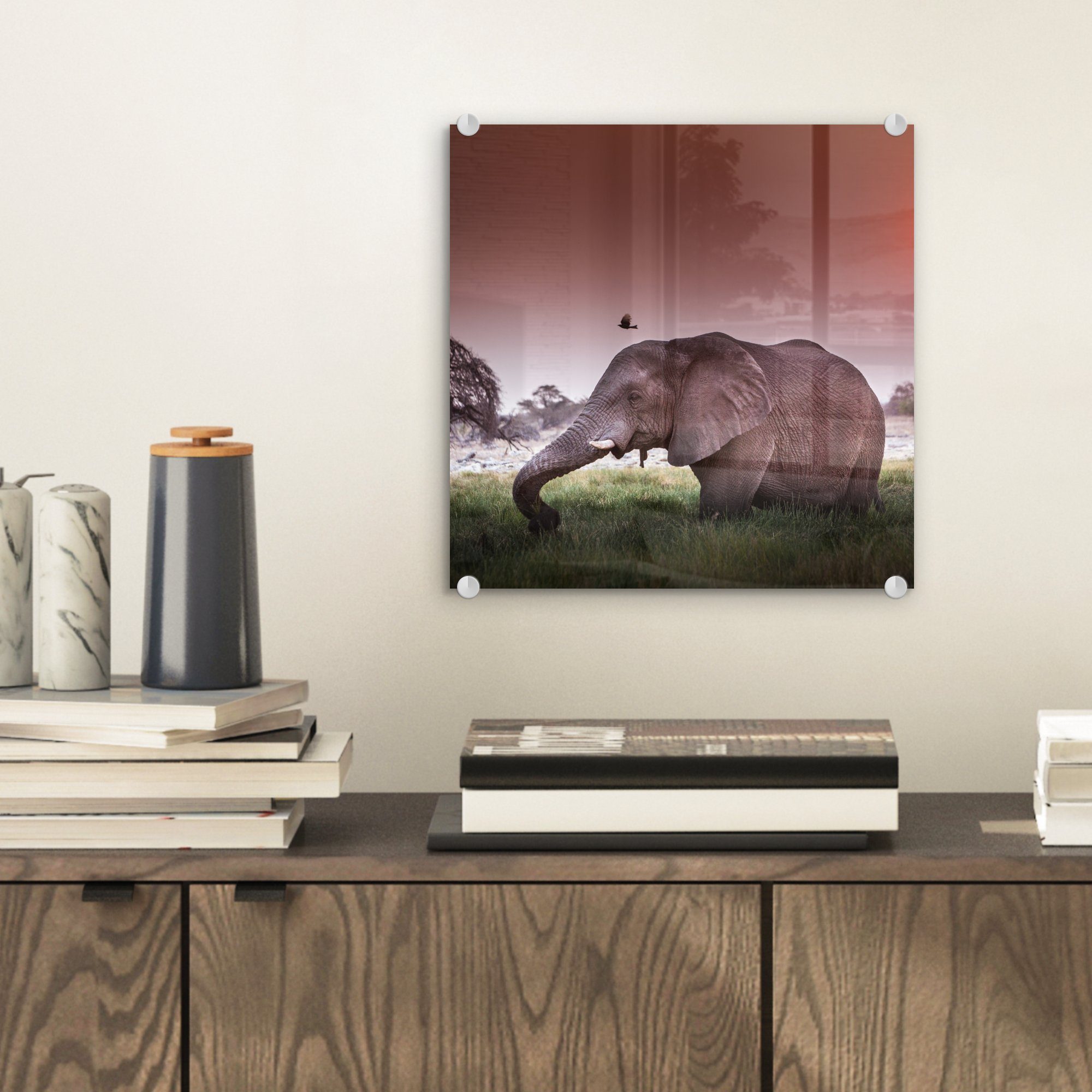 Acrylglasbild Sonne auf Elefant Glas - - - St), (1 Wanddekoration Tiere, Glasbilder auf Bilder Glas Foto - Gras - MuchoWow - Wandbild