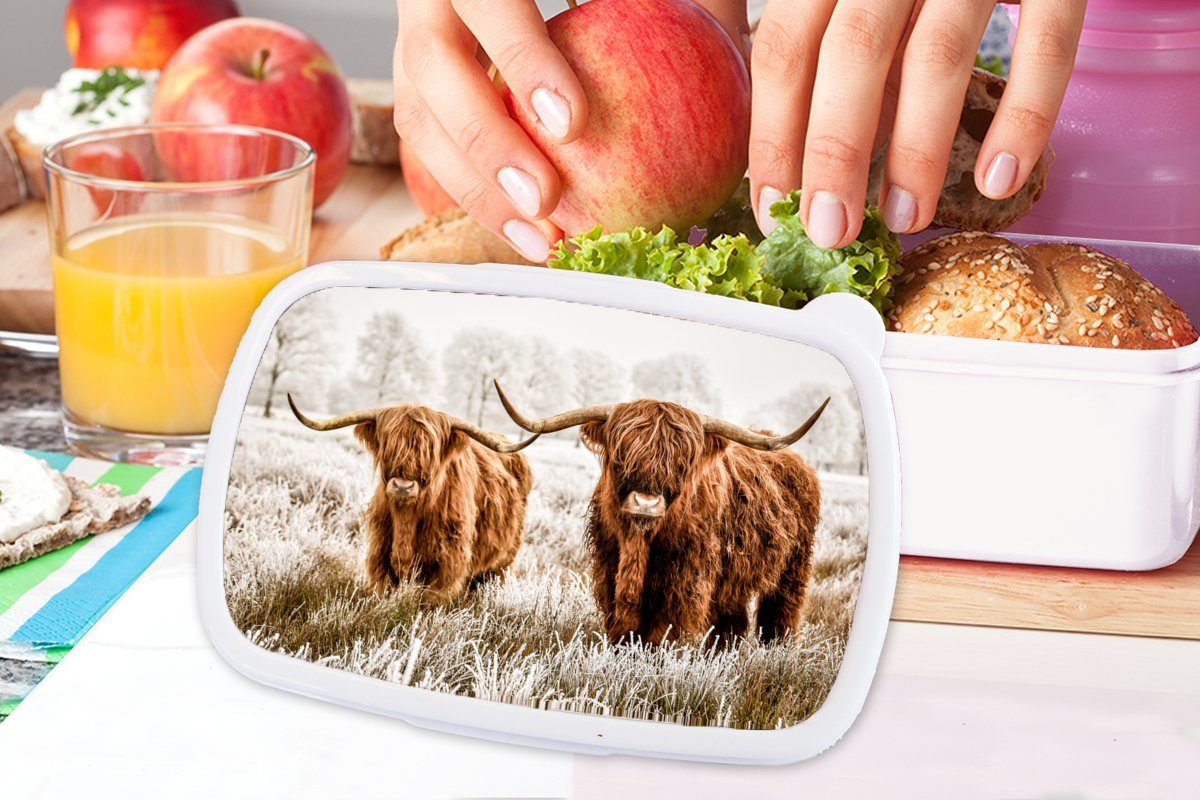 für Winter, - Natur Kuh und MuchoWow Kinder Jungs Lunchbox Mädchen - weiß Brotbox für - Erwachsene, (2-tlg), Schottischer und Kunststoff, Hochländer Brotdose,